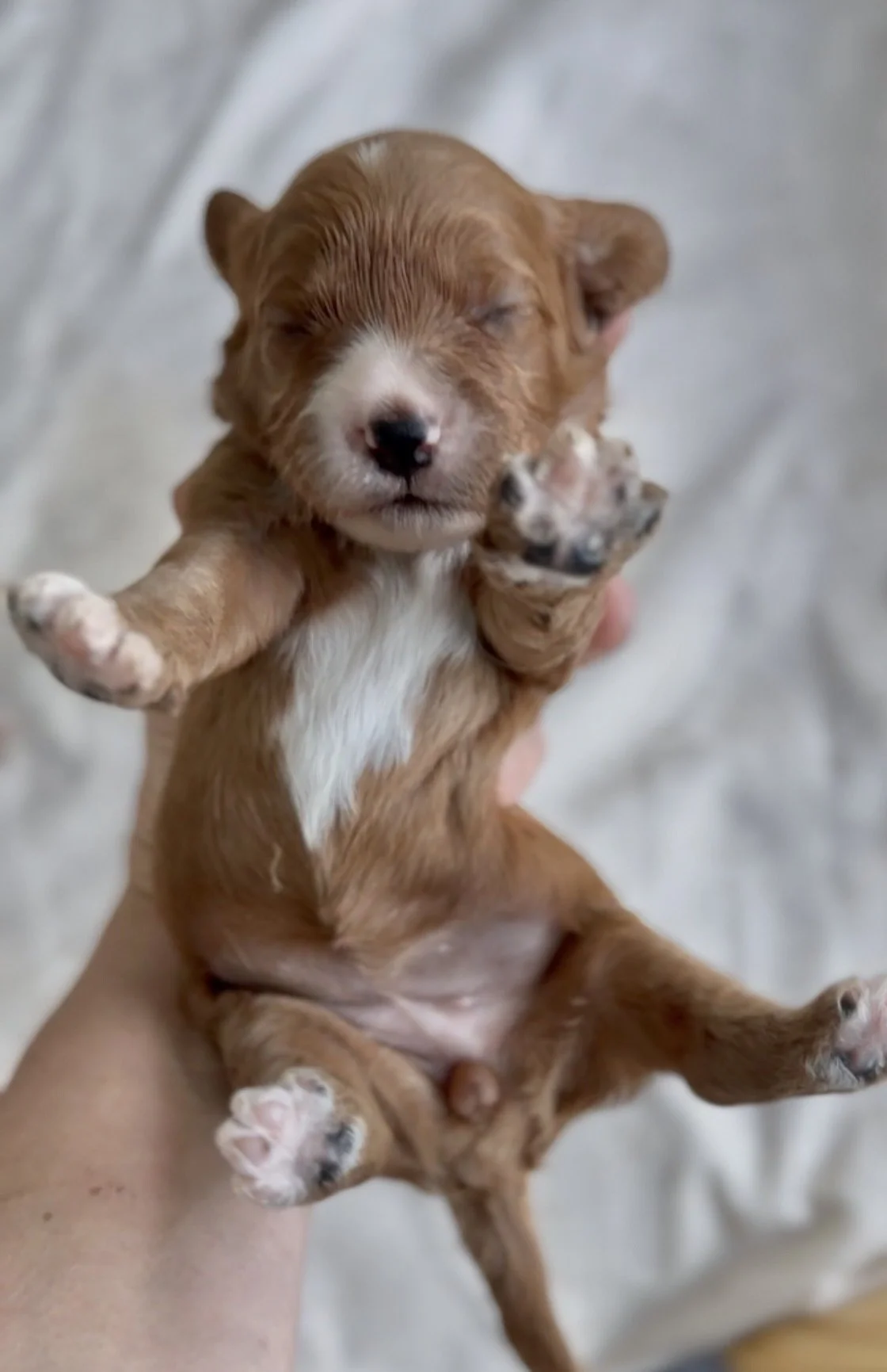 Photo 2-3-2026, 18 03 34.jpg