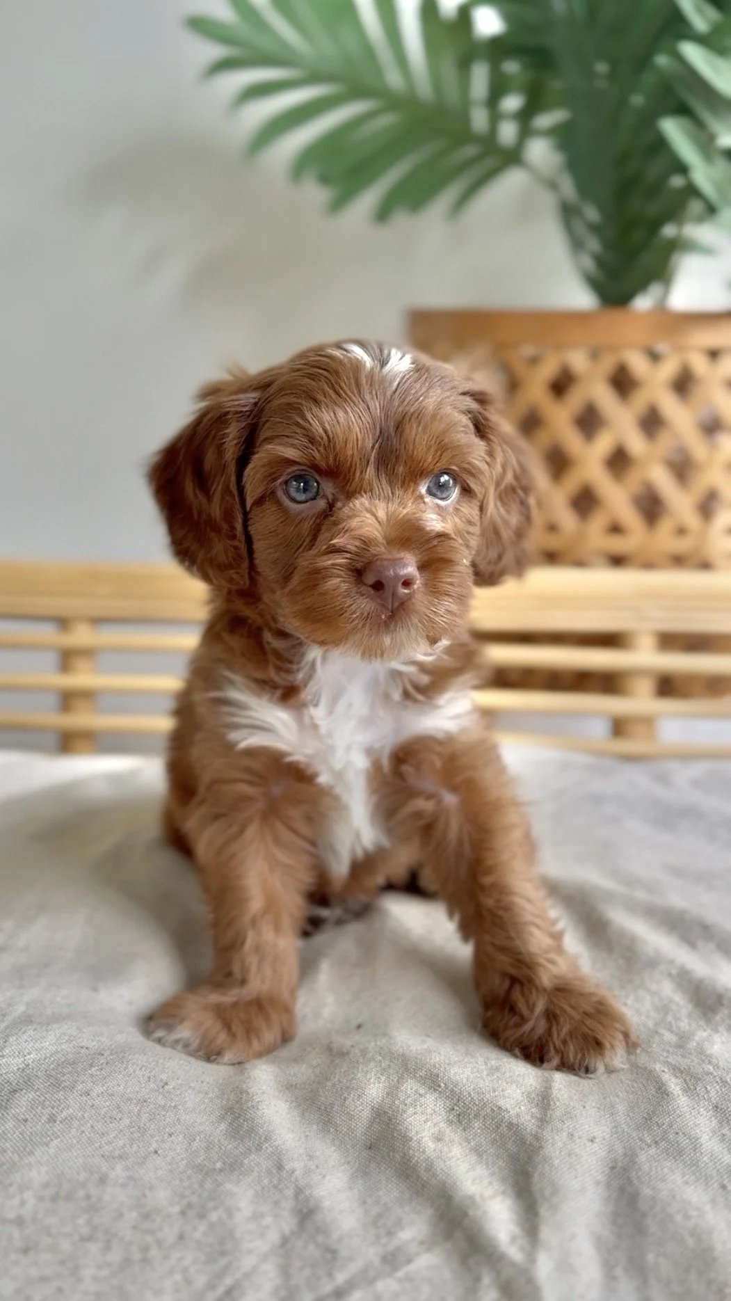 Photo 21-2-2026, 06 02 50.jpg