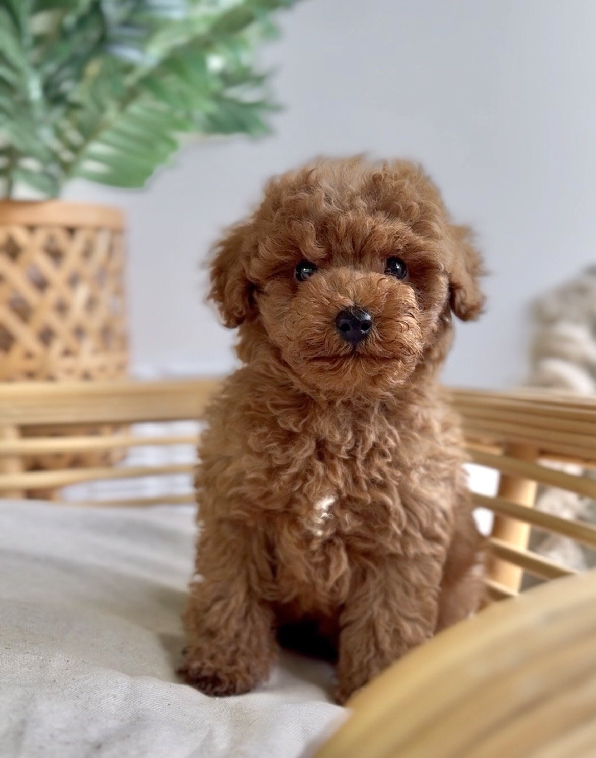 Photo 24-2-2026, 06 31 40.jpg