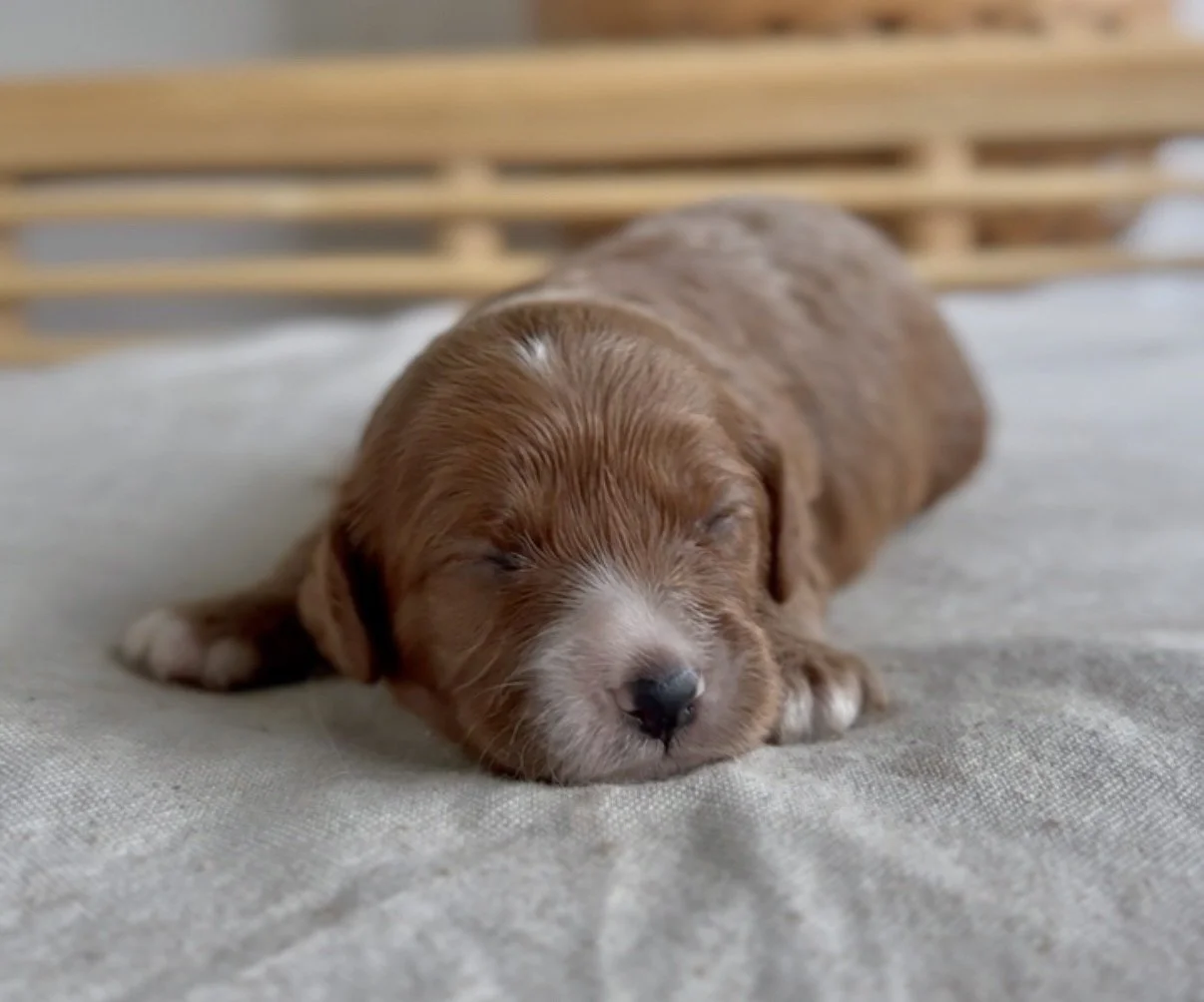 Photo 2-3-2026, 18 06 15.jpg