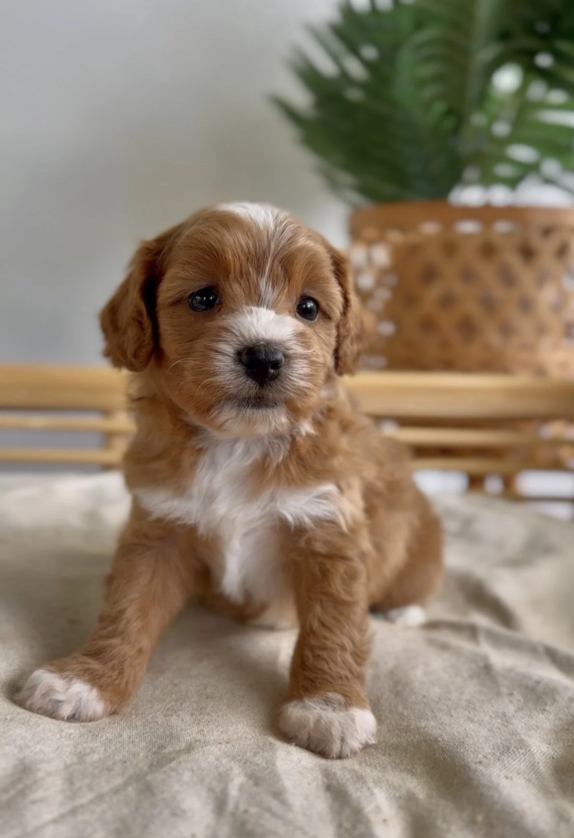 Photo 1-4-2026, 12 23 39.jpg