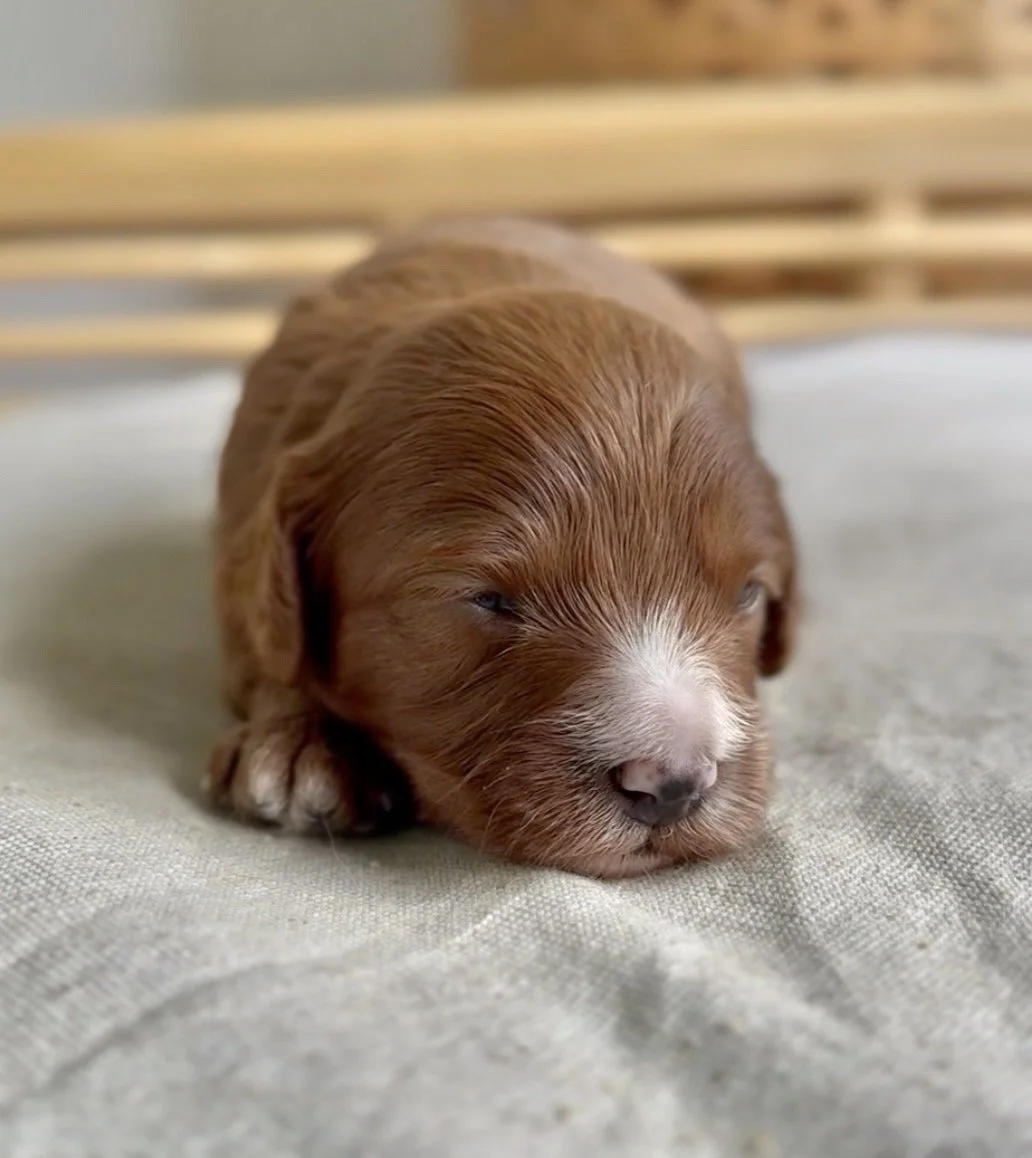 Photo 5-3-2026, 17 46 45.jpg