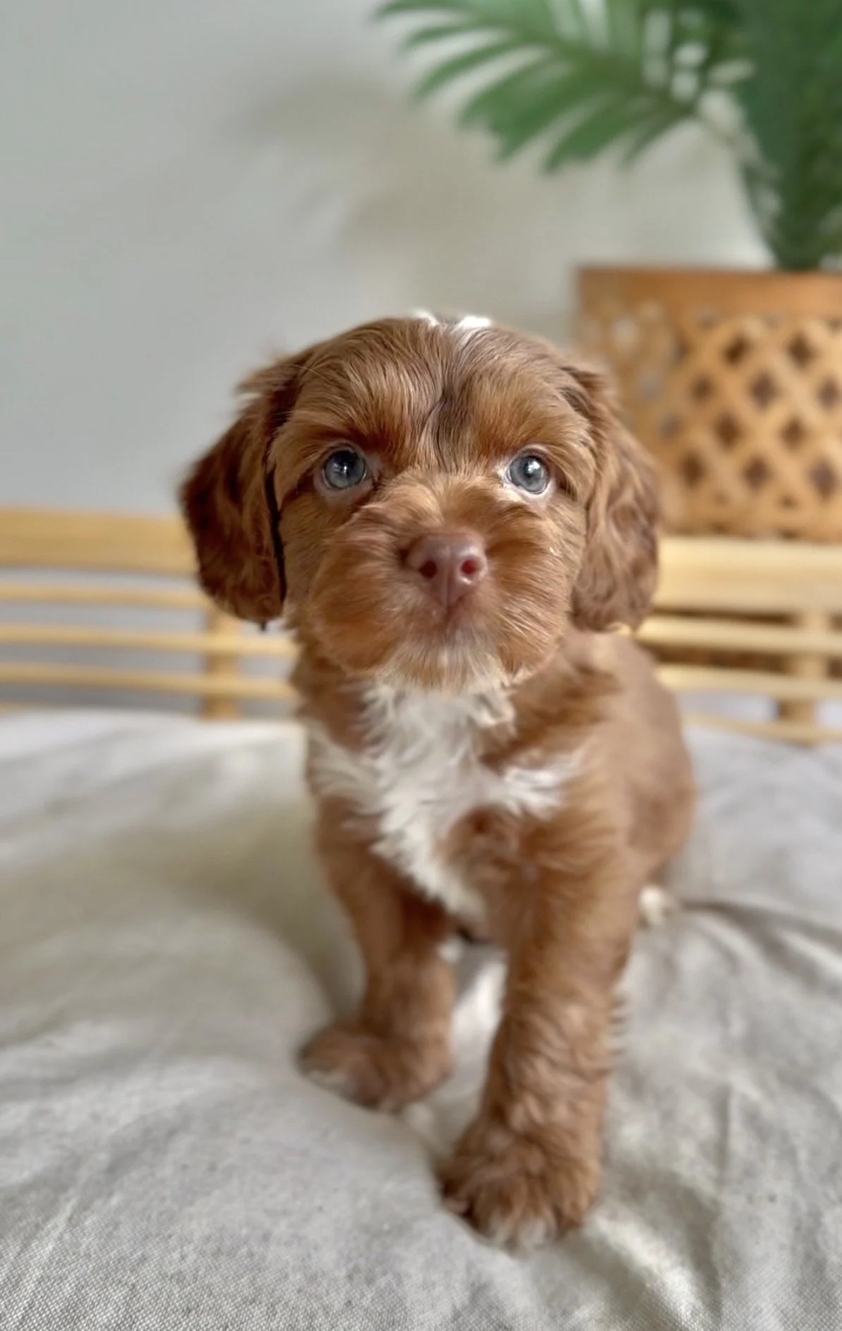 Photo 21-2-2026, 06 03 13.jpg