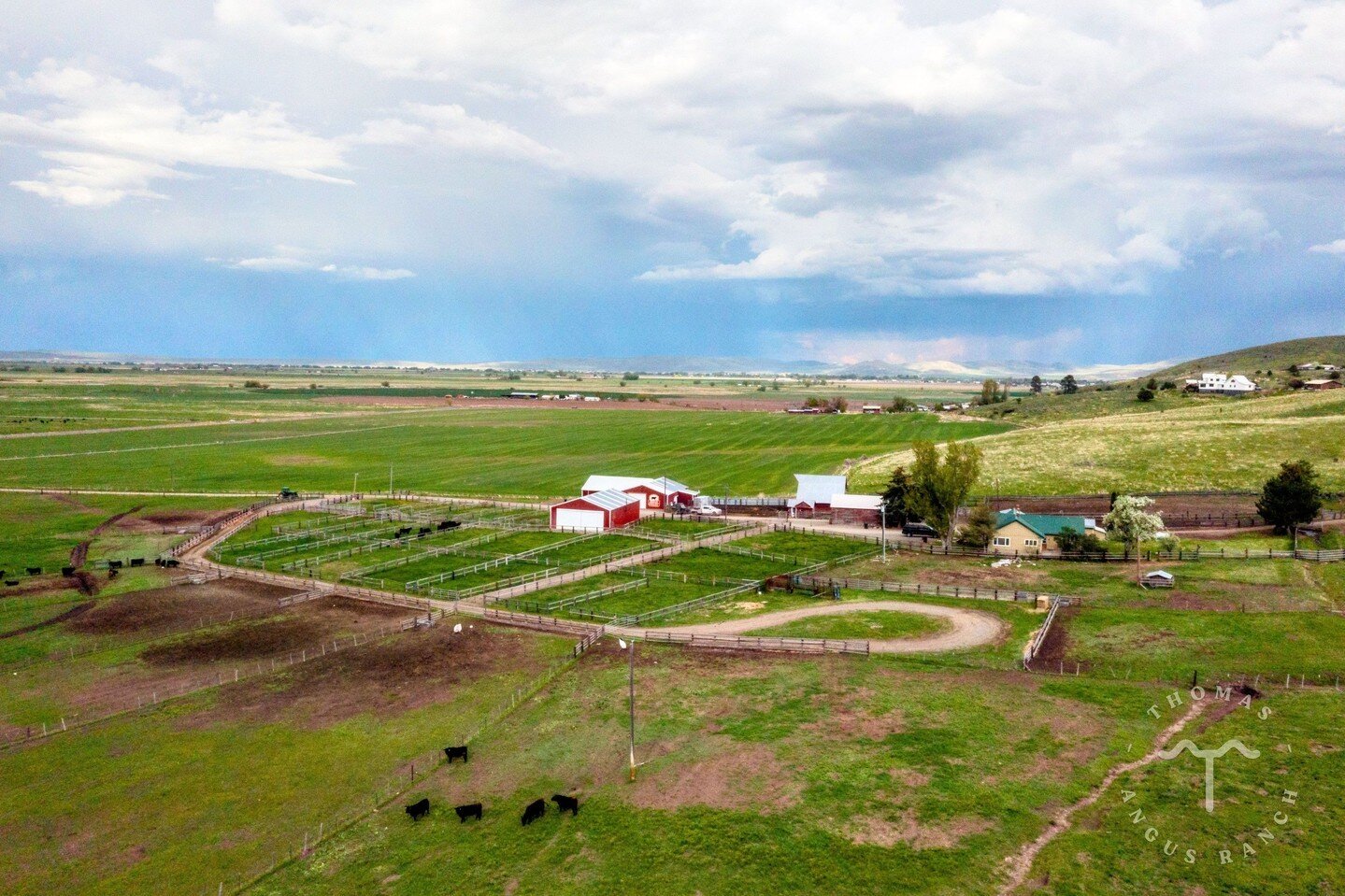 To a rancher, a ranch is much more than a job&mdash;it's a pile of memories, a highly rewarding endeavor, and something that few understand.

#angus #cattle #ranch #cowcalf #bull #agriculture