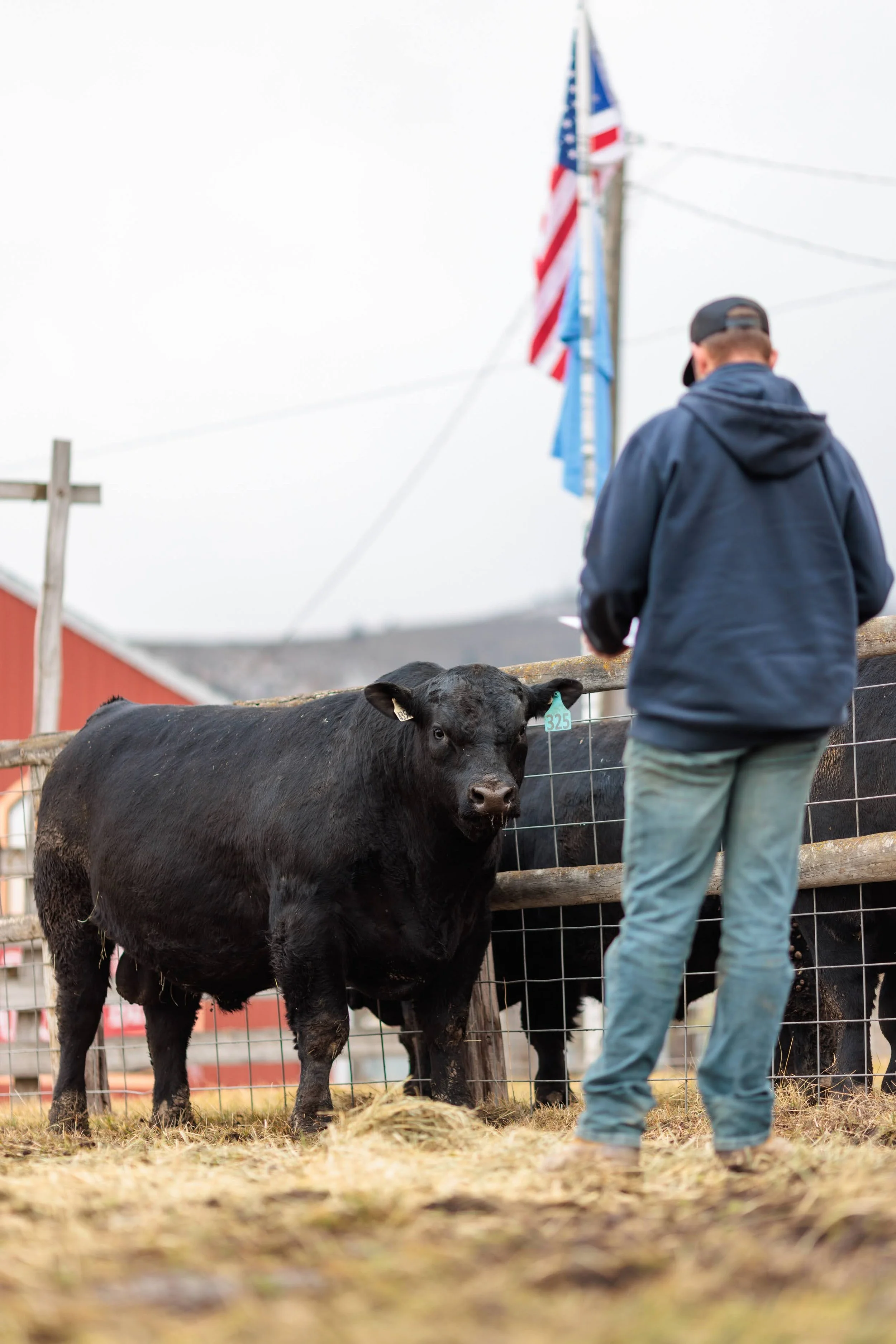 Annual Oregon Production Sale 2026