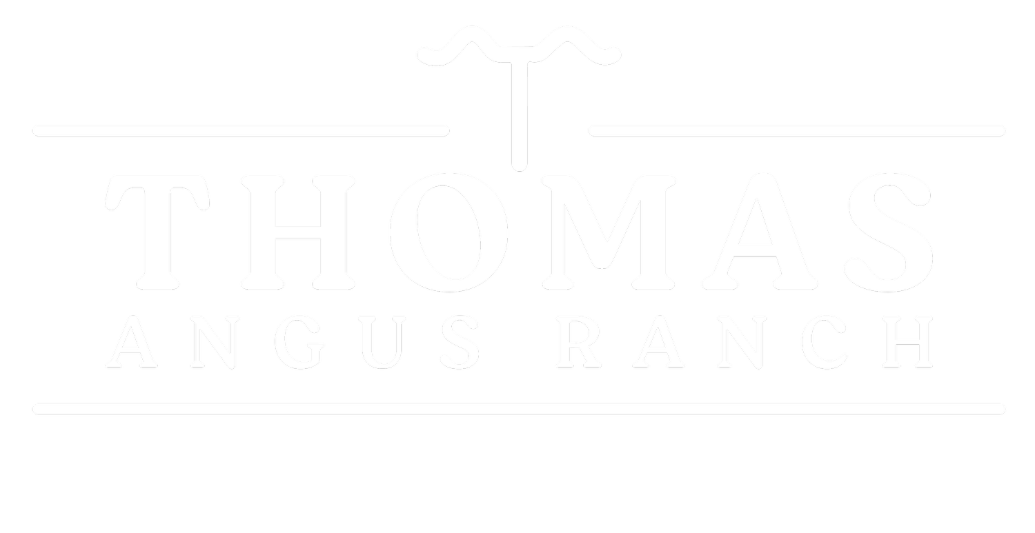 Thomas Angus Ranch