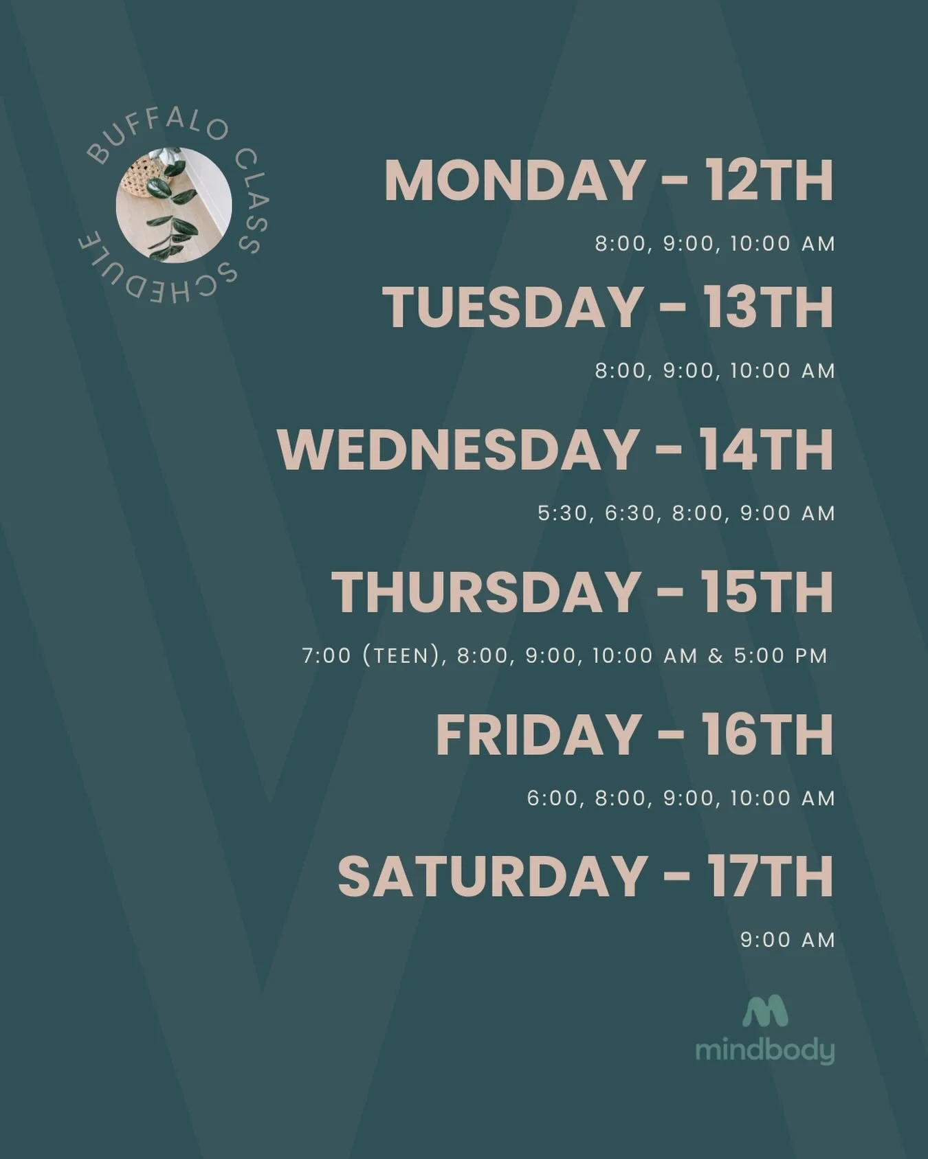 Whether you&rsquo;re looking to build strength, improve mobility, or carve out time for yourself&mdash;we&rsquo;ve got a class for you!

Buffalo + Mound Locations //
Check out the full class schedule on the MINDBODY app, or head to our website pilate