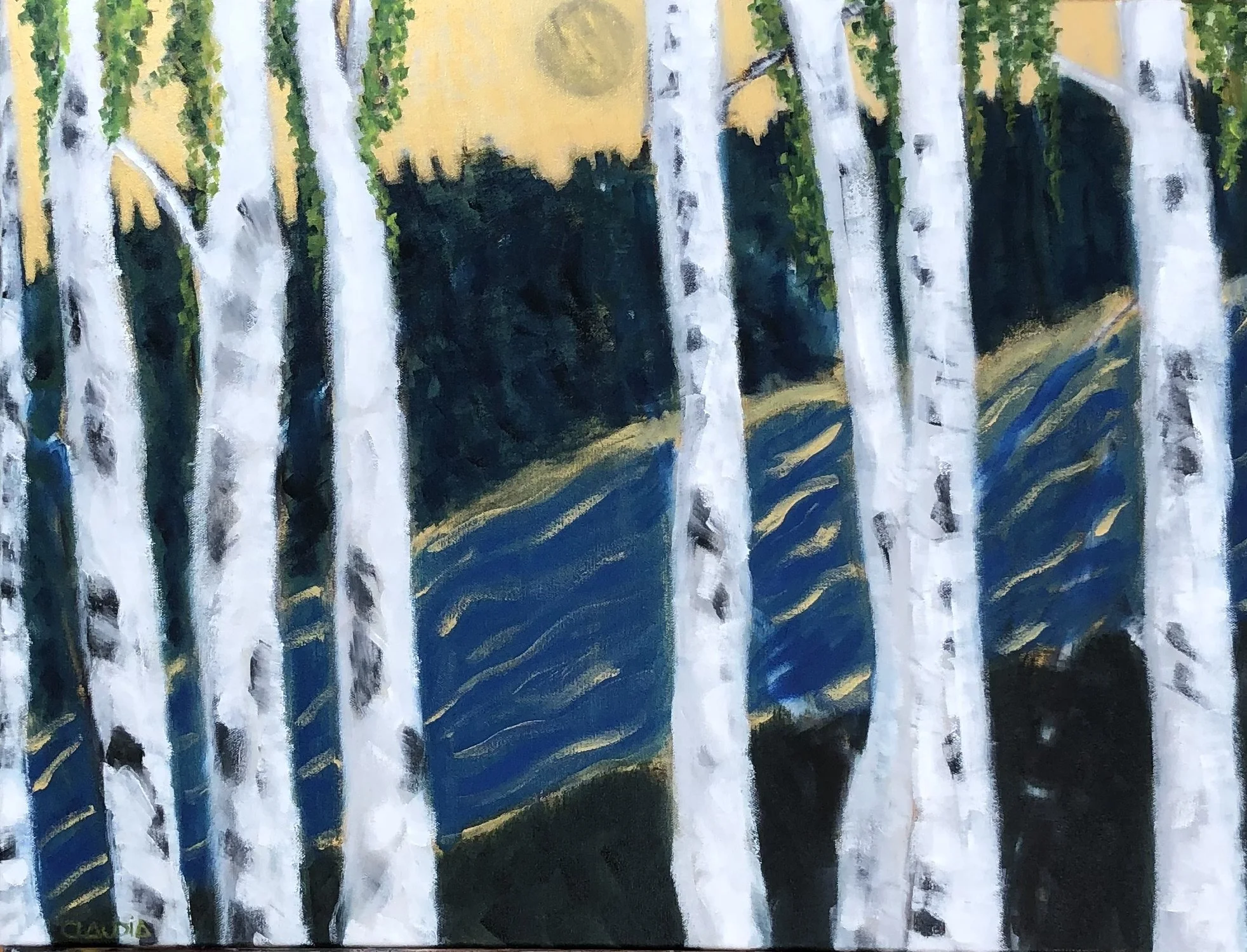 Birches   |   20 x 24   |   Oil on Canvas