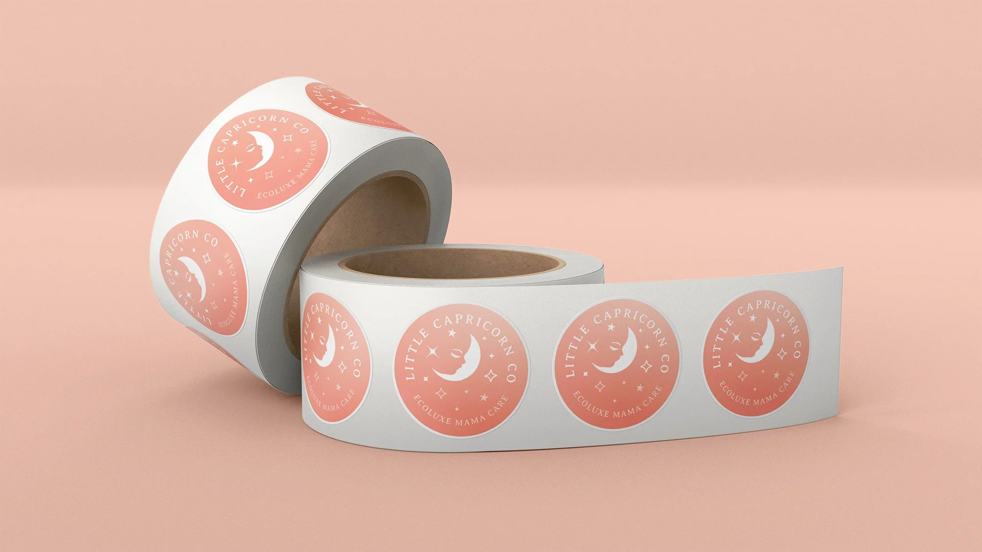 Little Capricorn Co Stickers Mockup.jpg
