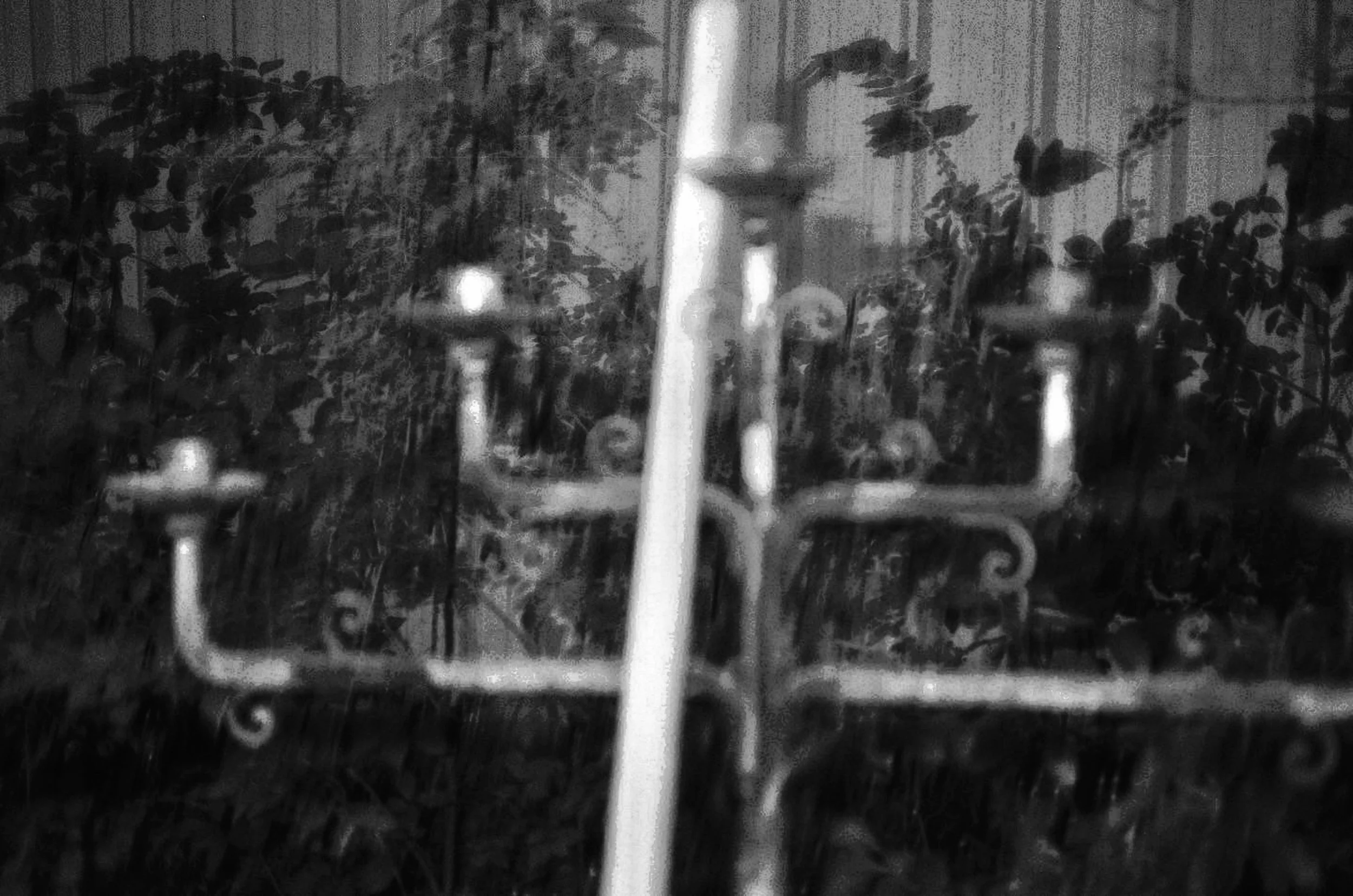 Prayer in the garden.jpeg