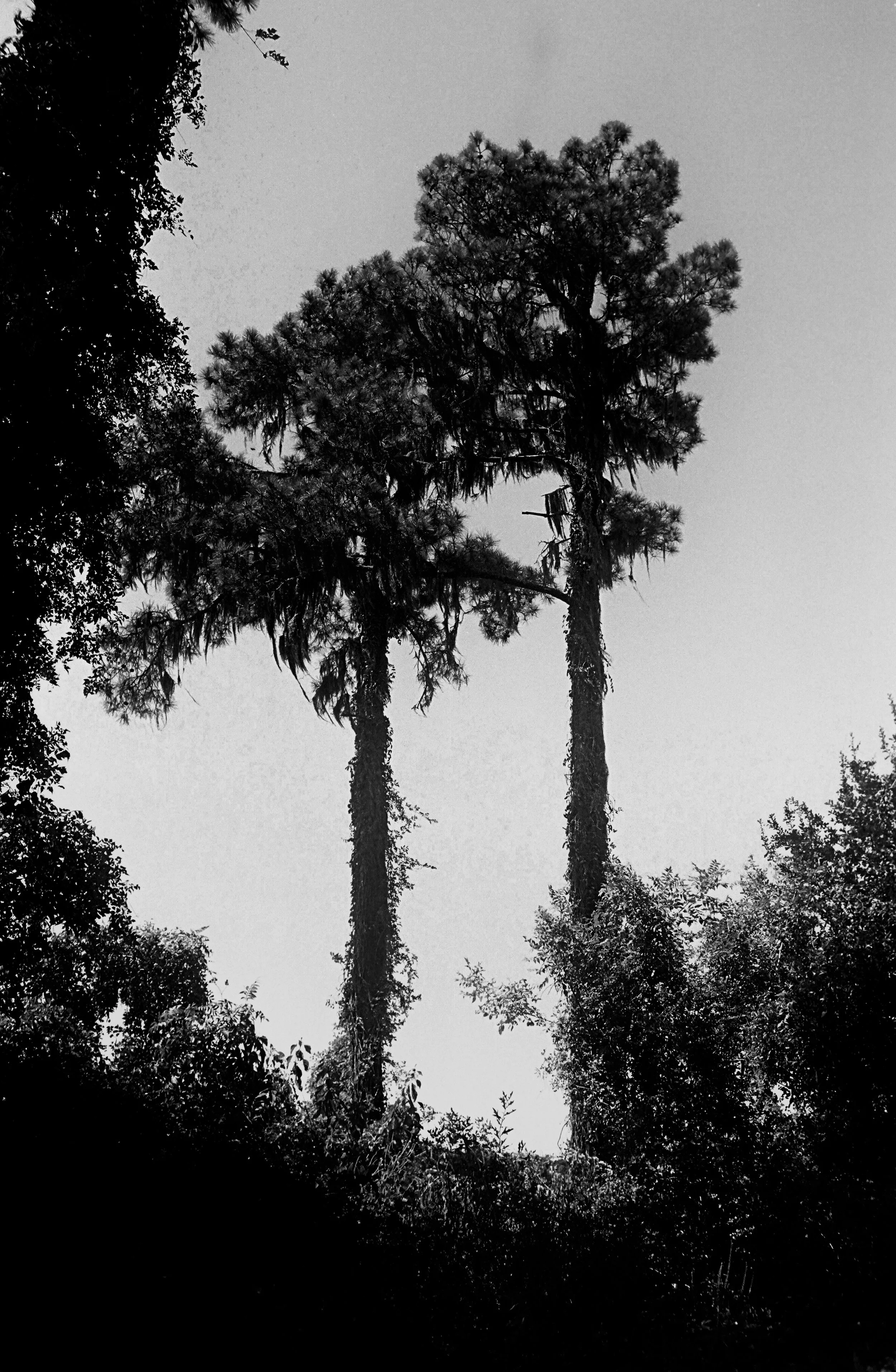 DCA4B2D8-6A9A-452D-885D-ADB8B2185603EmptyName 9.jpeg