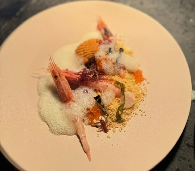 Caridean prawn and sand.jpg