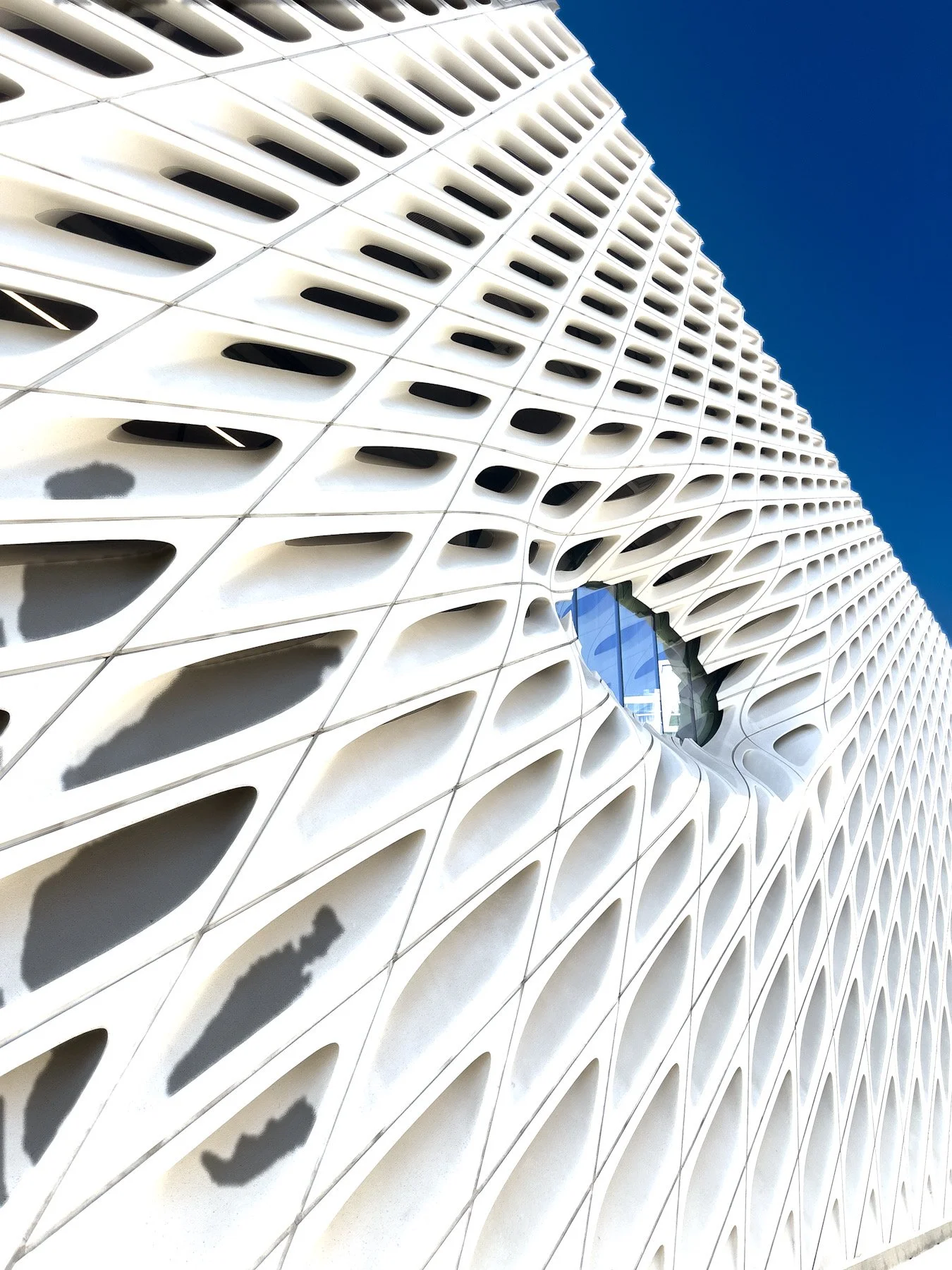 The Broad.jpeg
