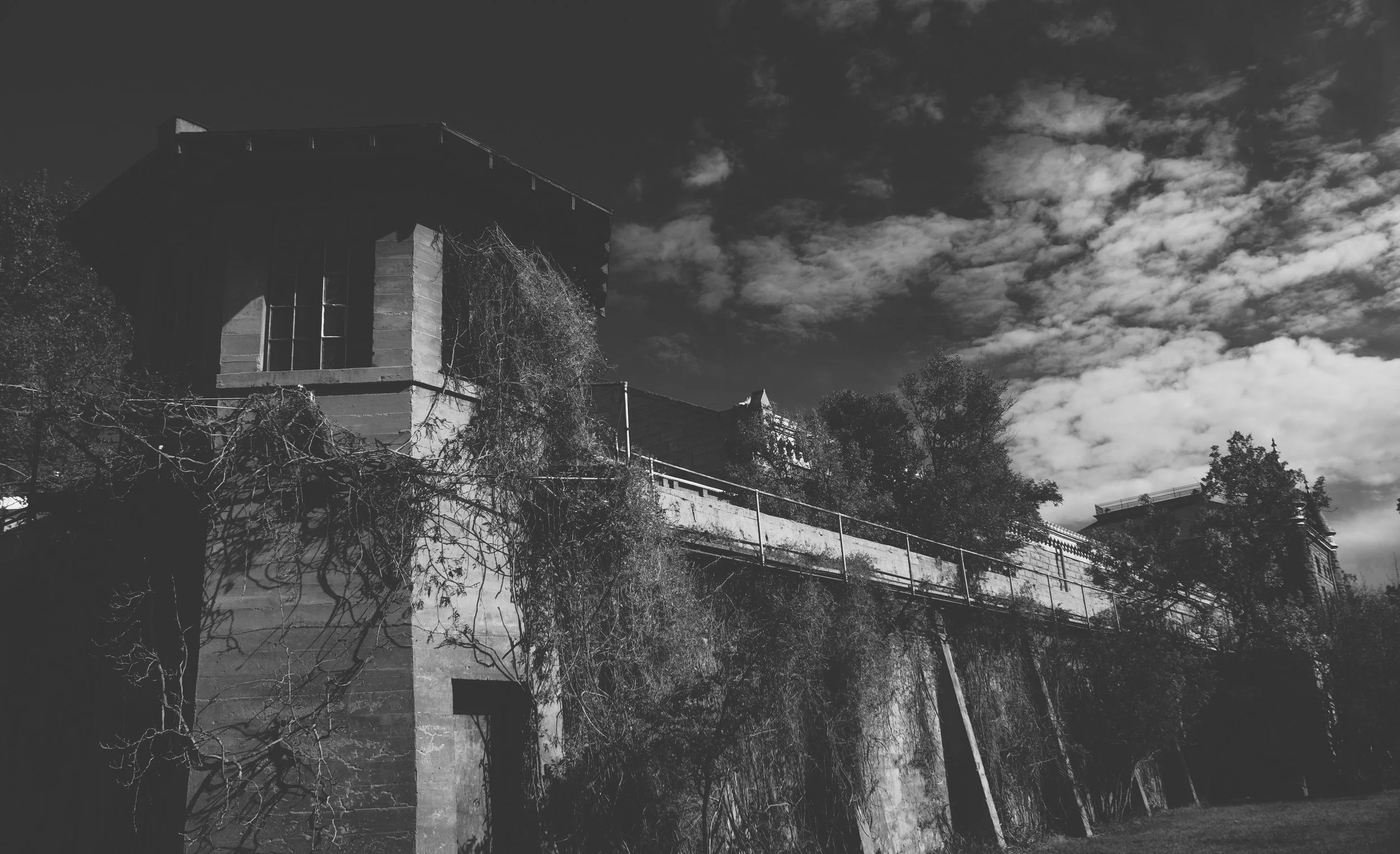 Black and White