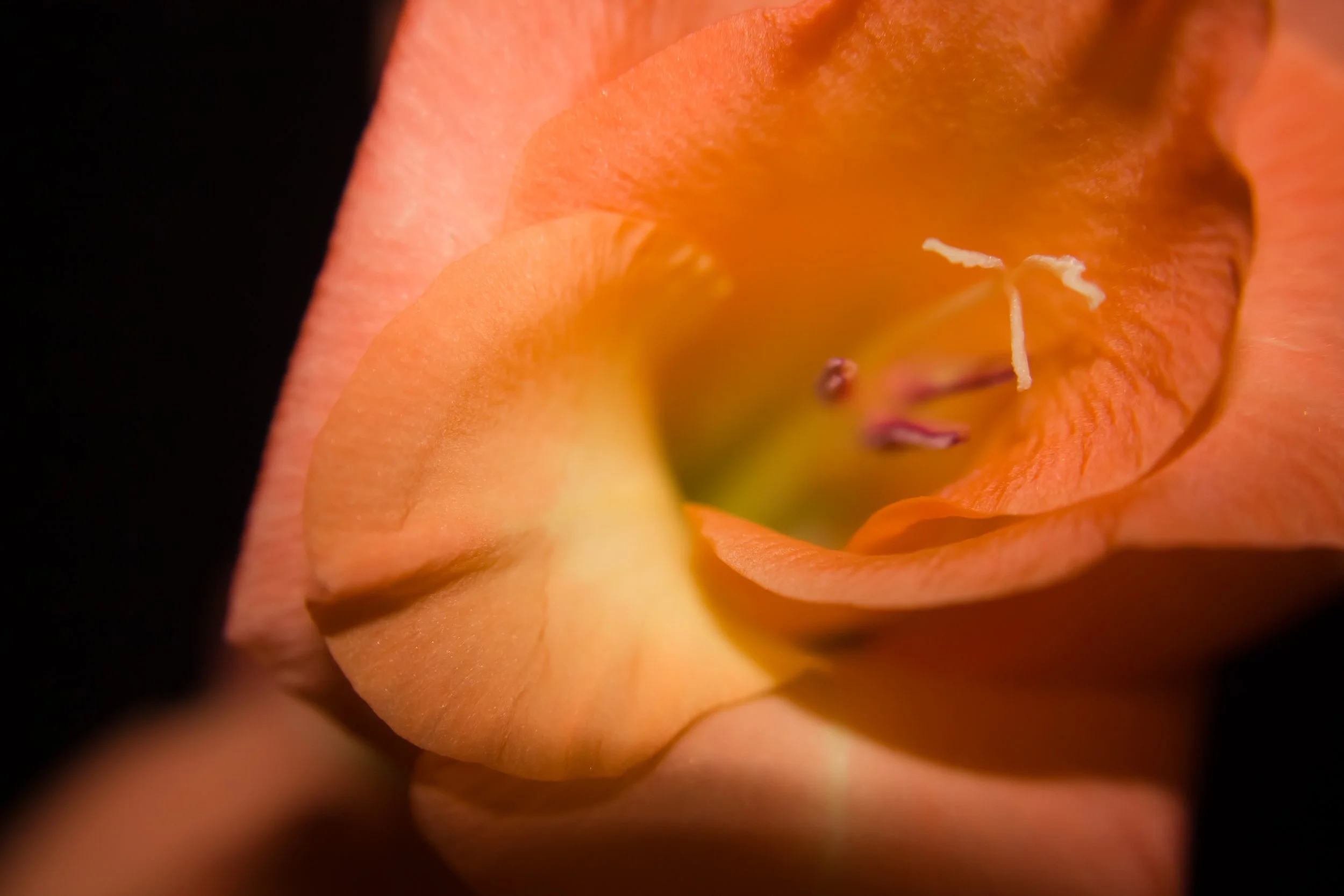 E04CA999-2FF3-4D67-89DC-3E5A71B6E53F.jpeg