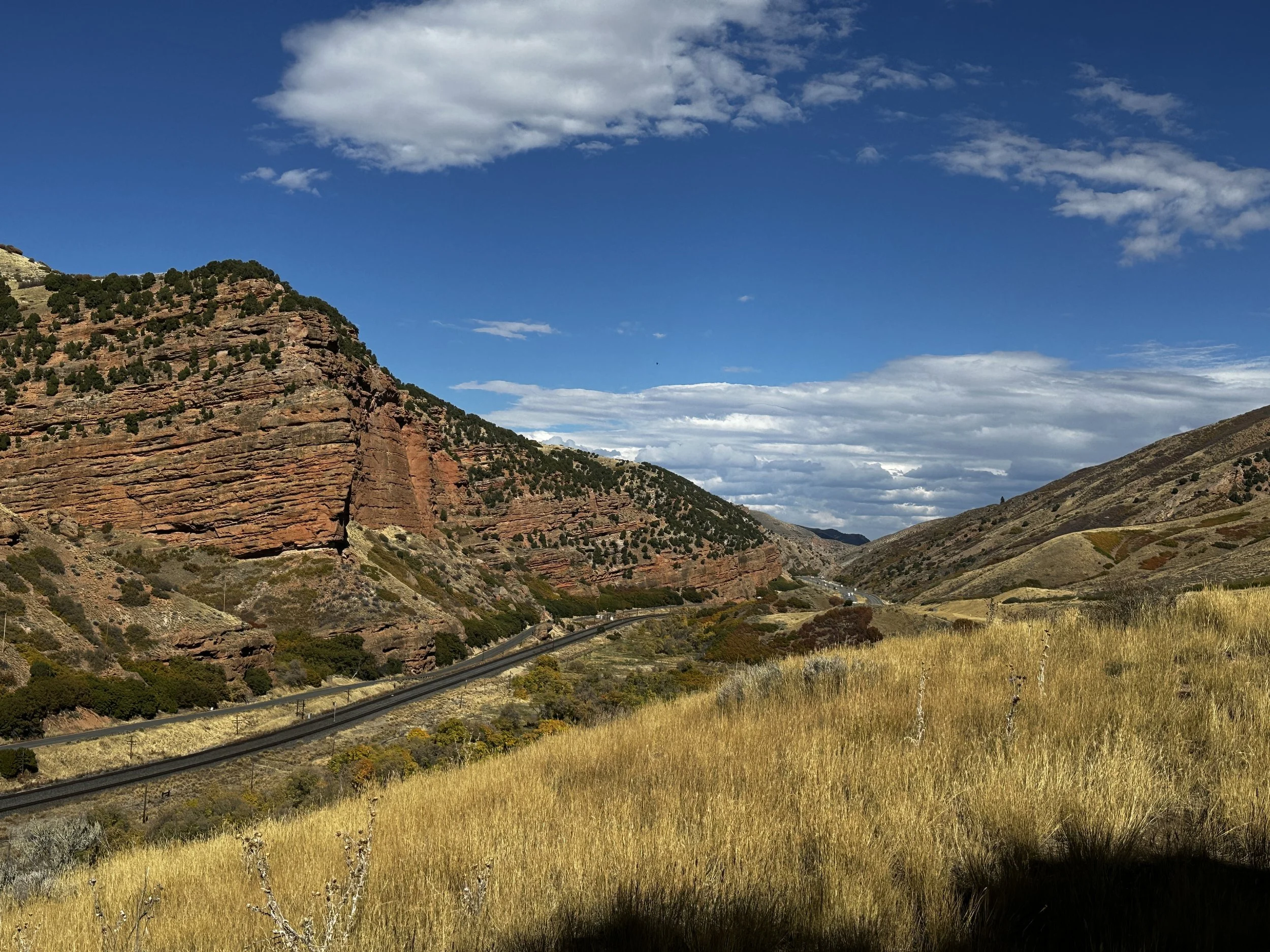 Utah Roadside2.jpeg