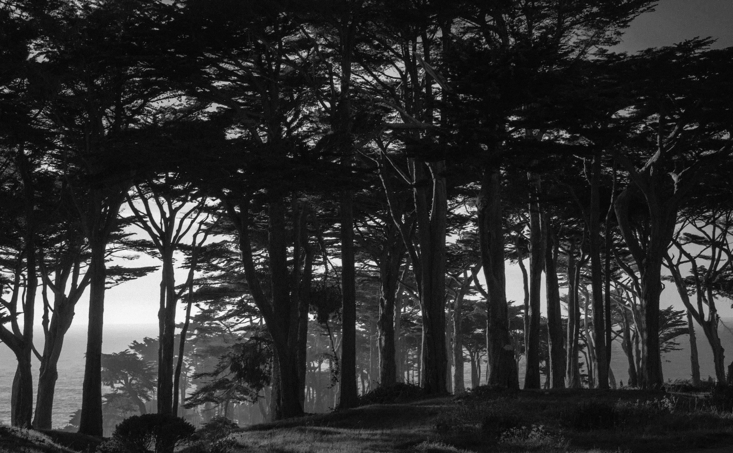 Lands End.jpeg