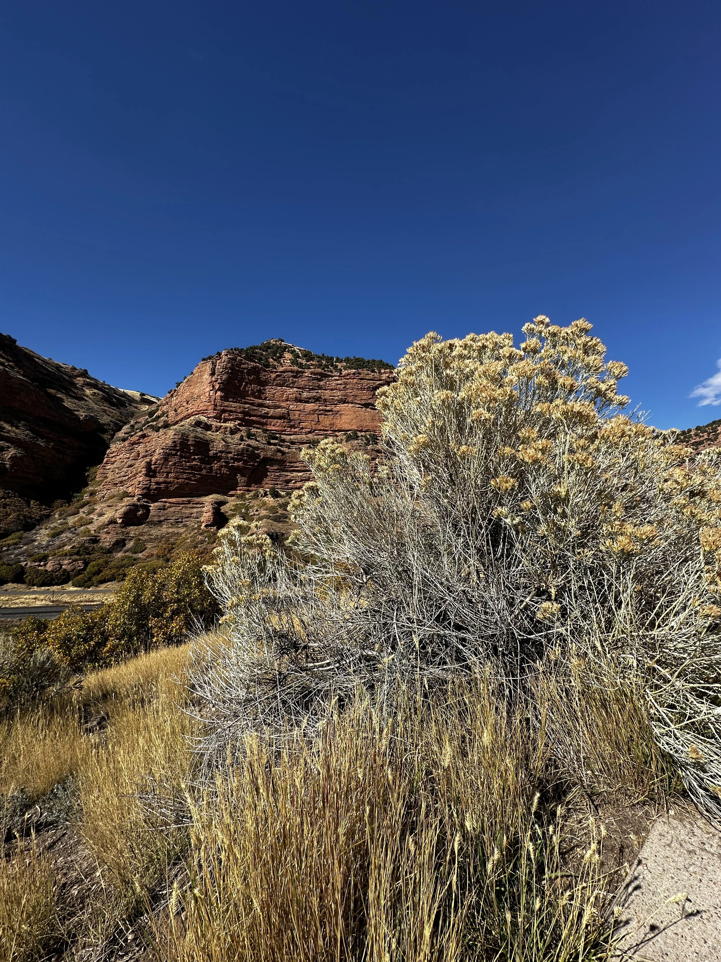 Utah Roadside.jpeg