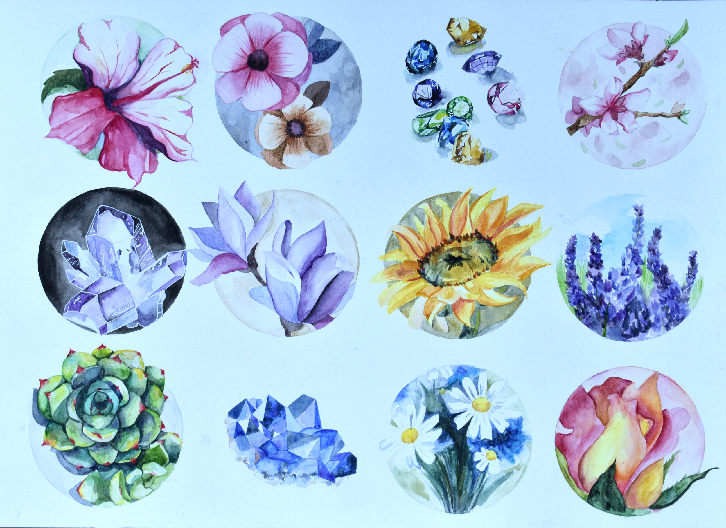 Watercolor of flowers, succulents, and gems