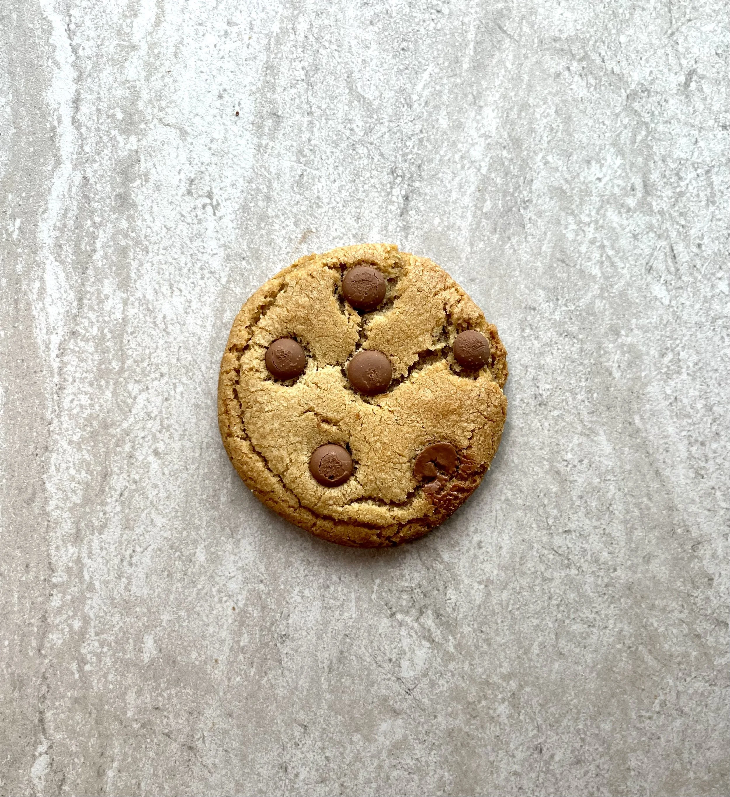 Chocolate Chip Cookie
