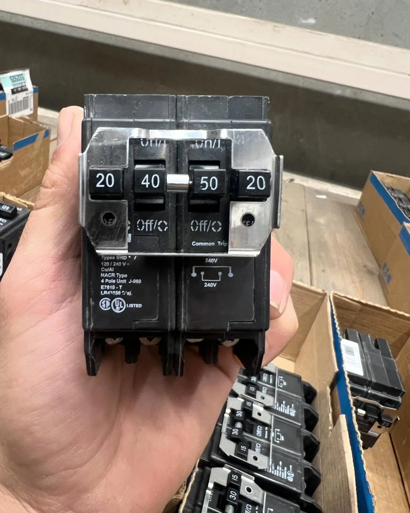 What is this that I found in Home Depot?