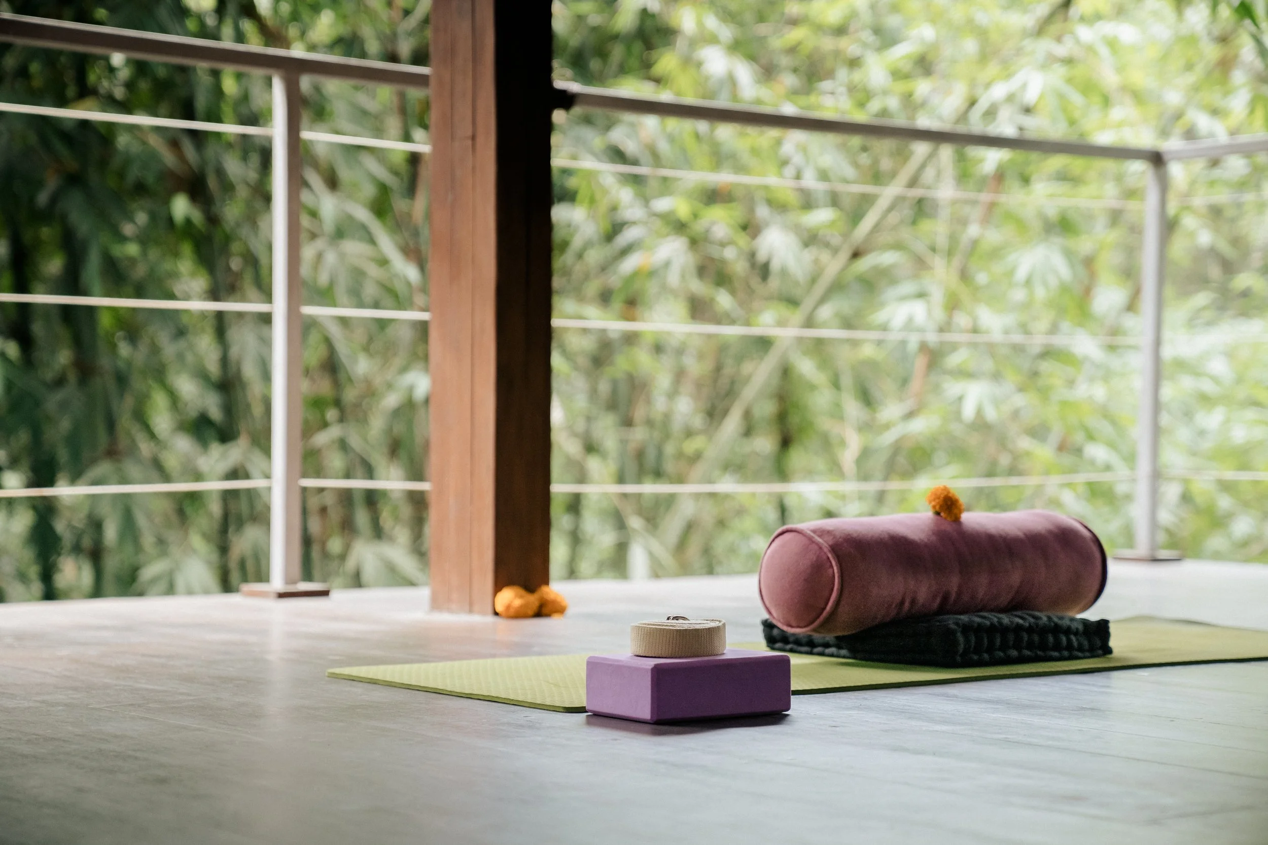 Yoga Shala 3.jpg