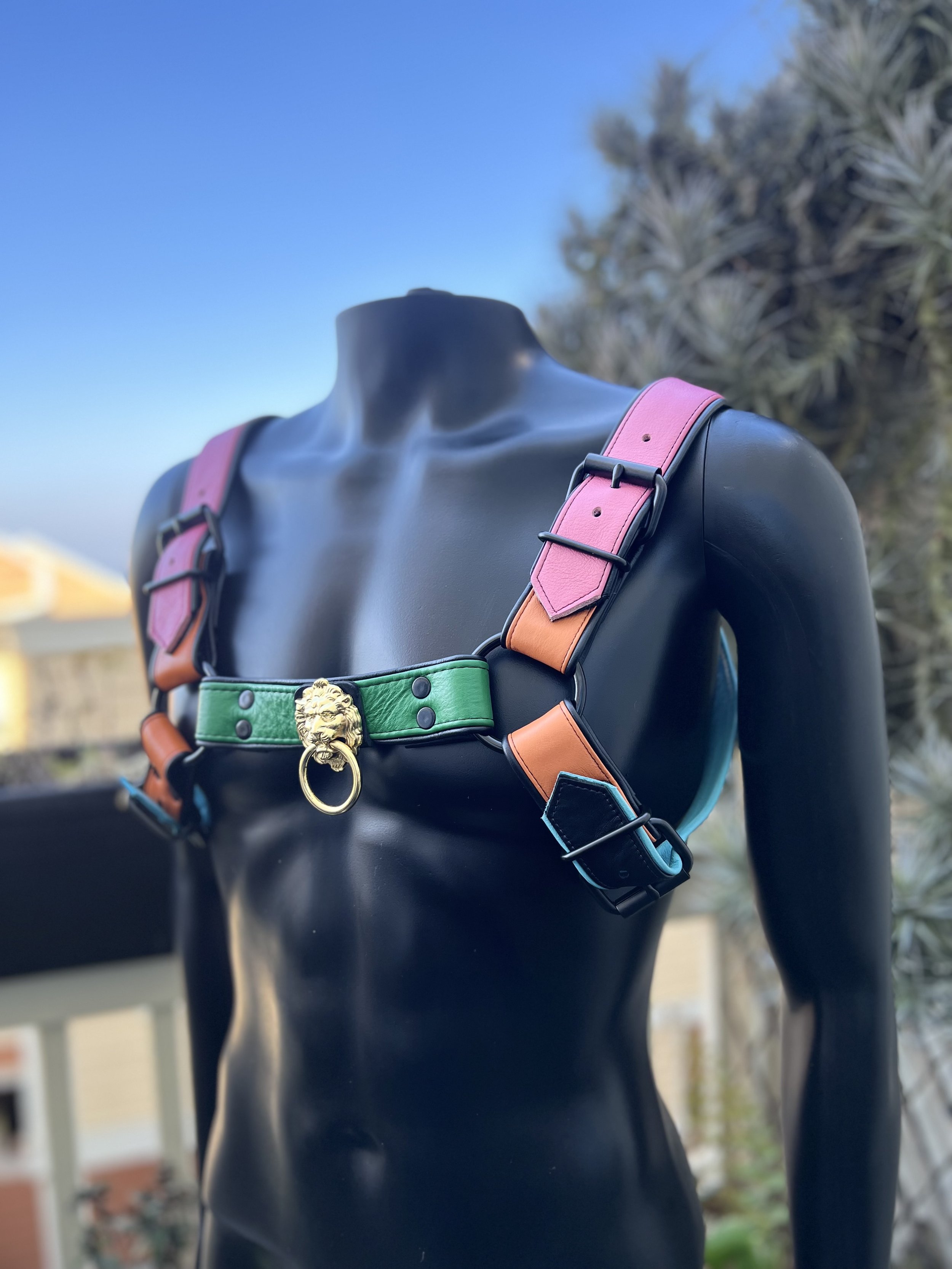 Arcoíris Pride Harness