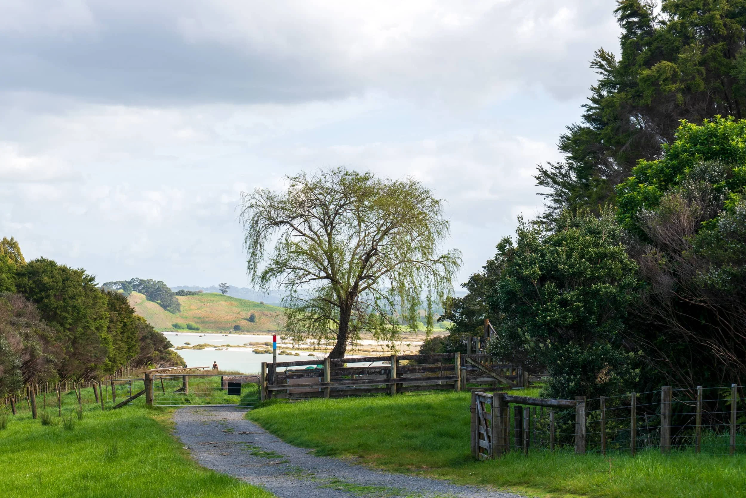 Duder_Spring_0507-web.jpg
