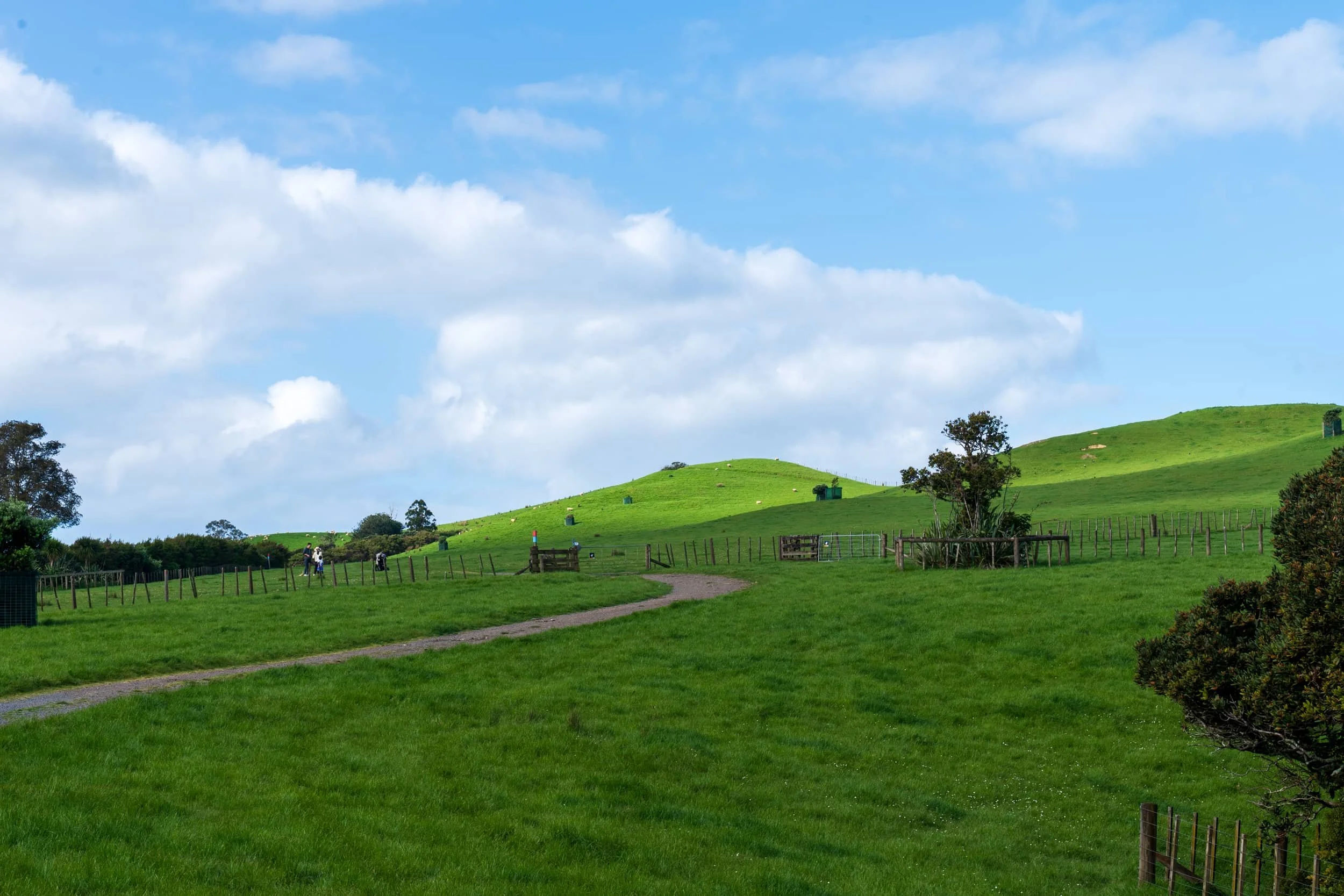 Duder_Spring_0508-web.jpg
