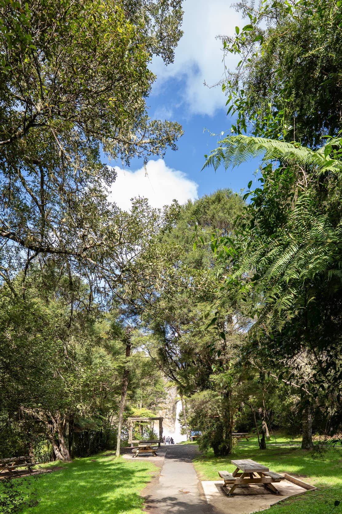 Hunua-Autumn_0351-WEB.jpg