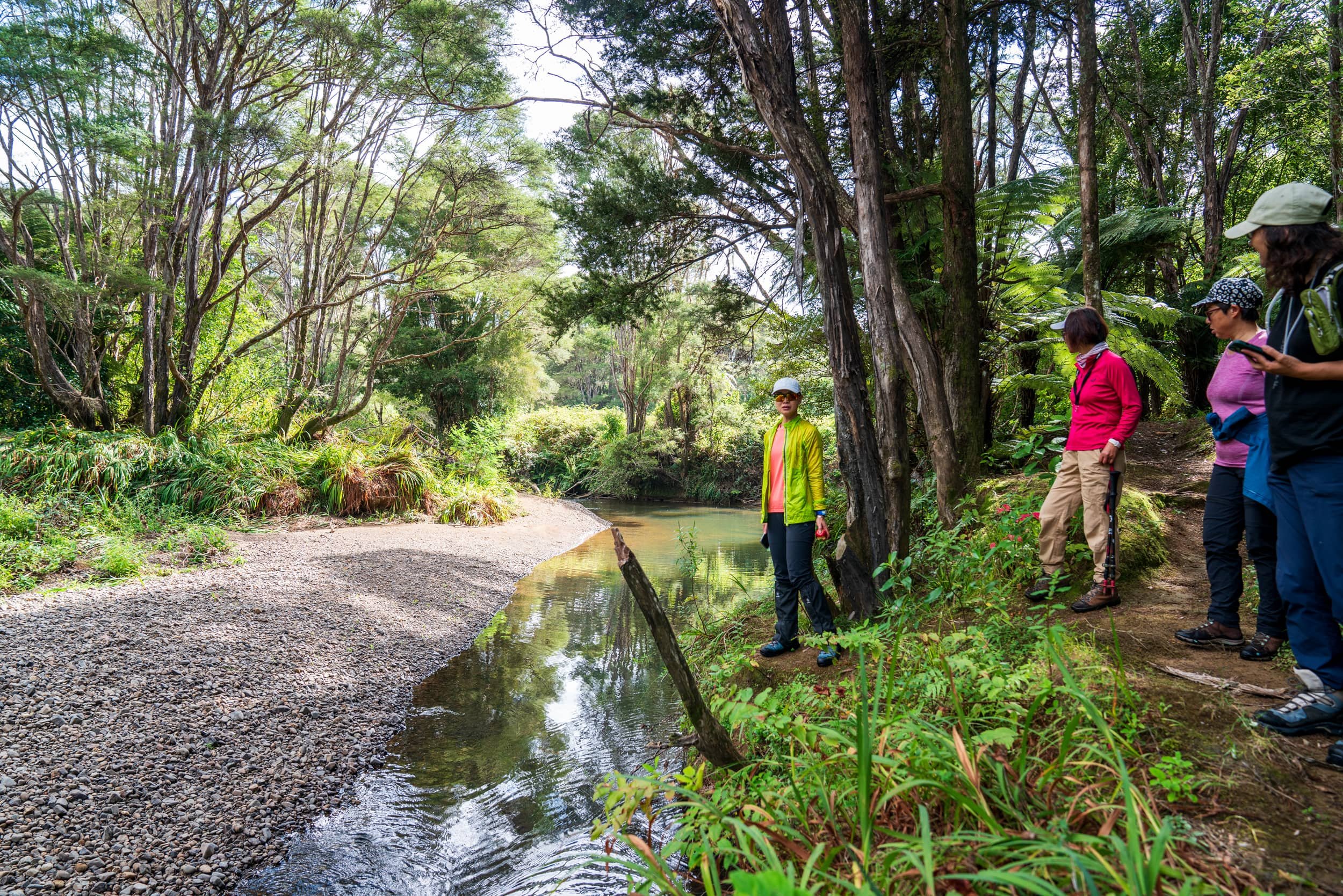 Hunua-Autumnn_0191-WEB.jpg