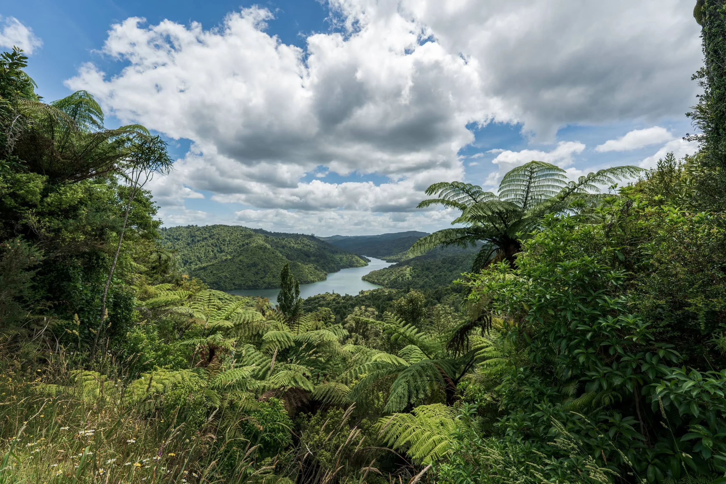 hunua-summer_0164.jpg