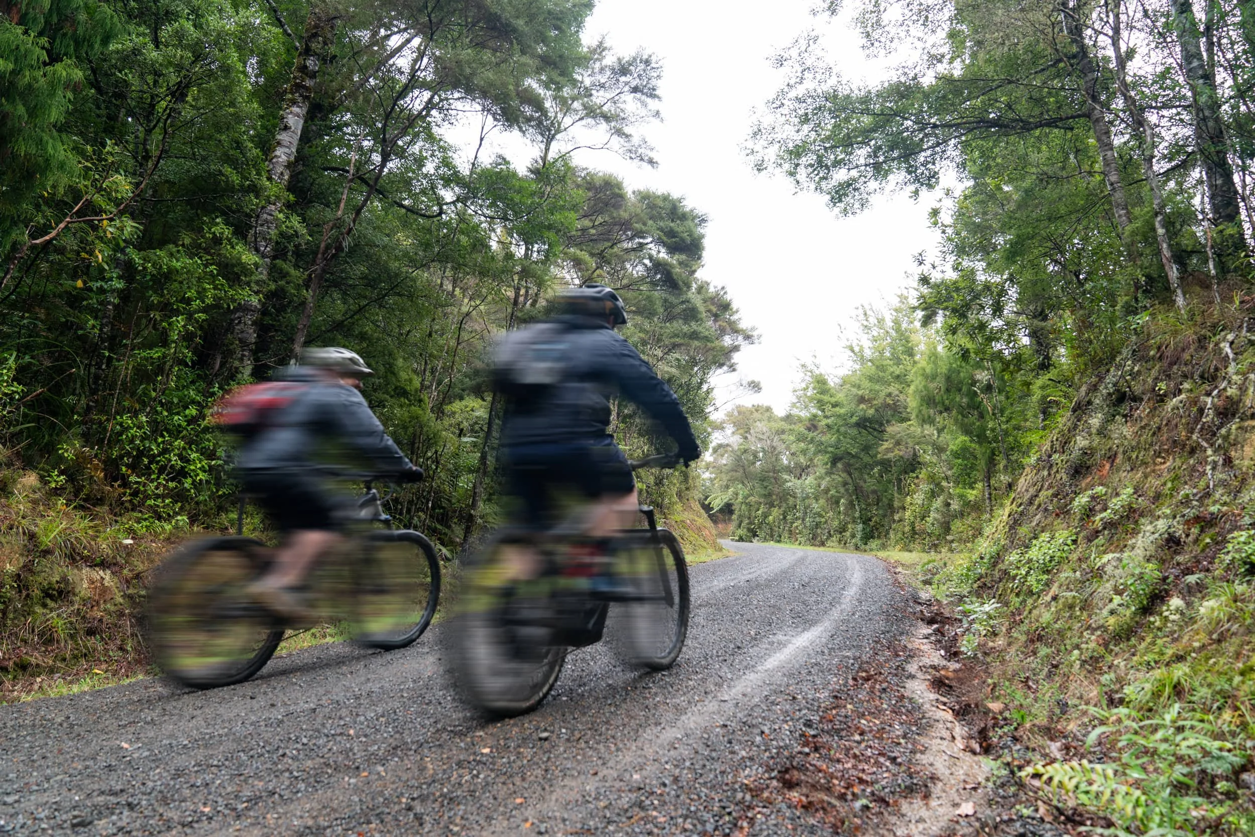Hunua_0683_WEB.jpg