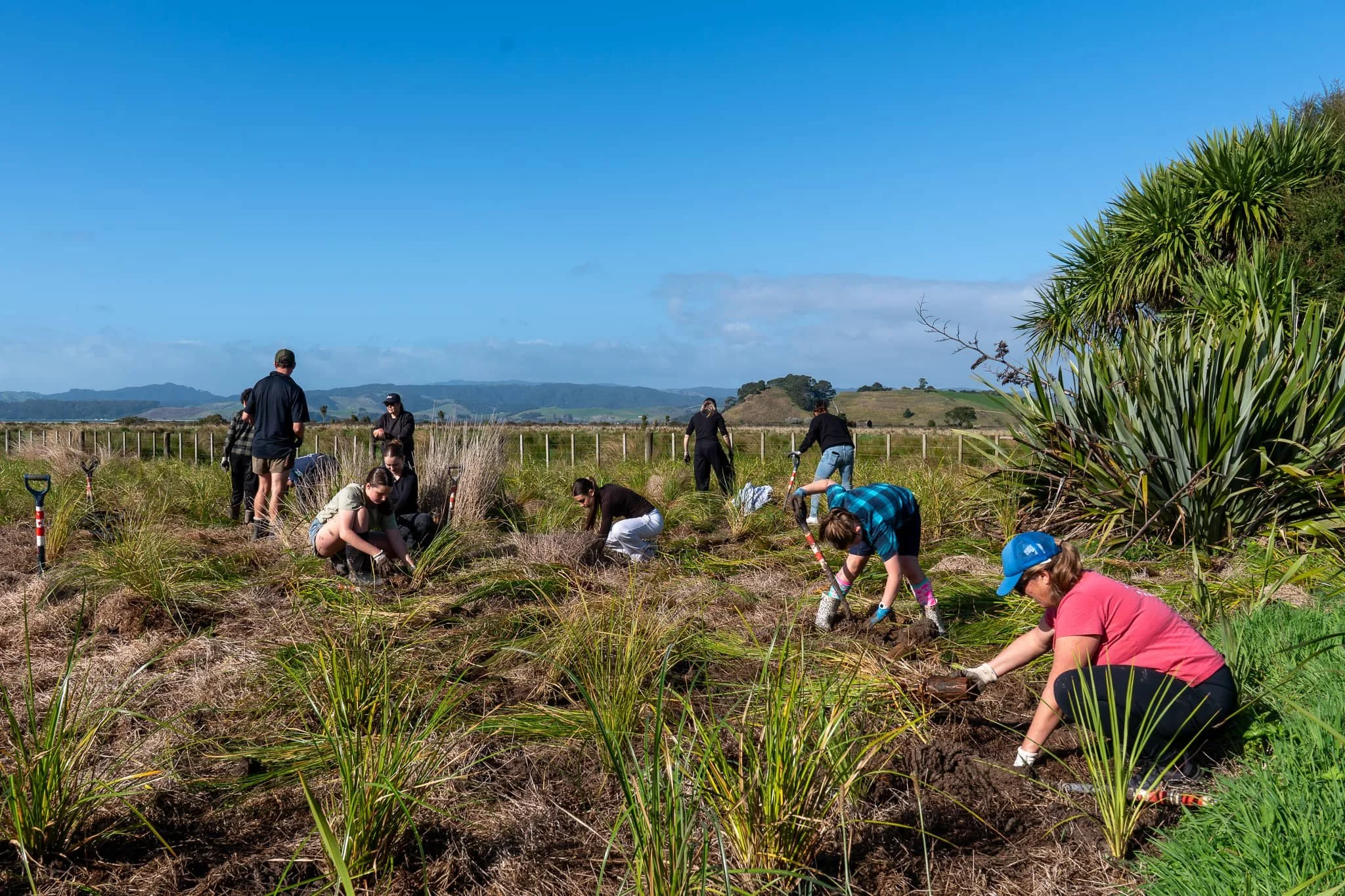 Duder_Autumn_Treeplanting_0385-WEB.jpg