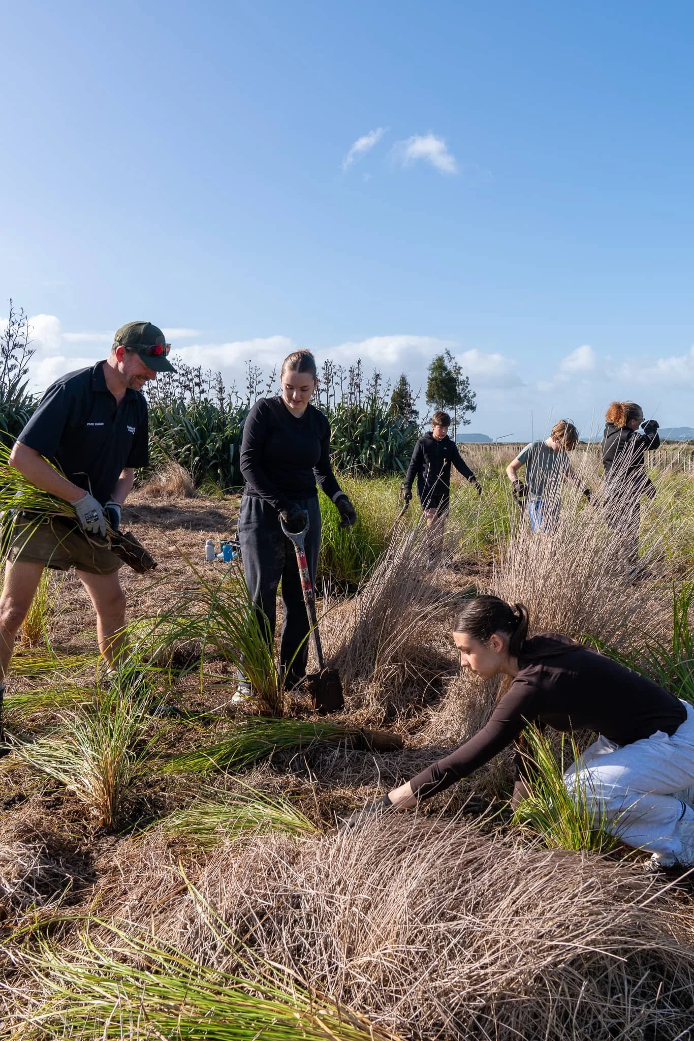Duder_Autumn_Treeplanting_0371-WEB.jpg