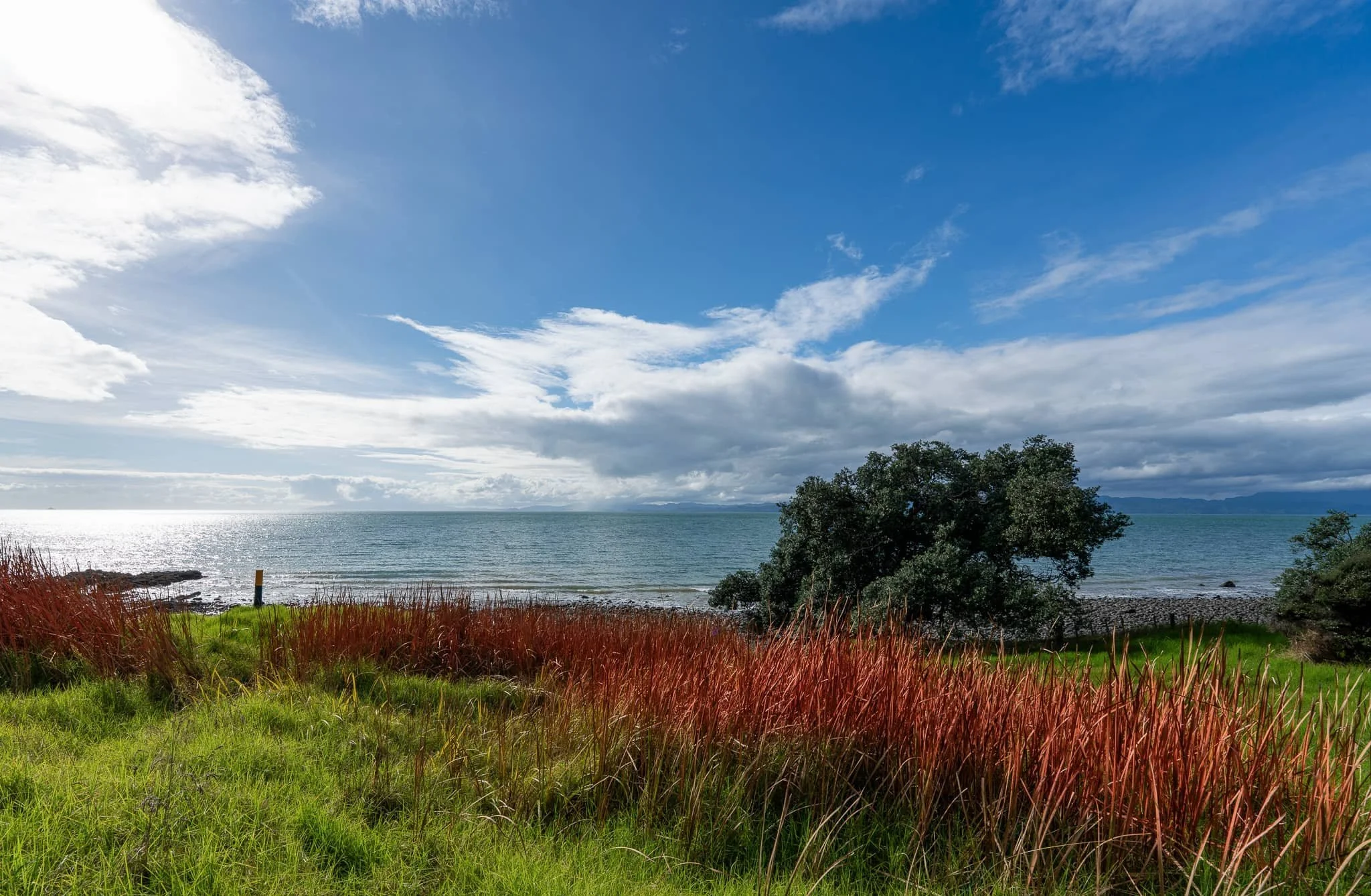 Tapakakanga_Autumn_006_WEB.jpg