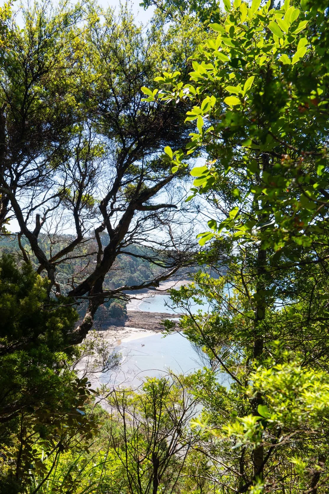 Tawhitokino - Summer_0025.jpg