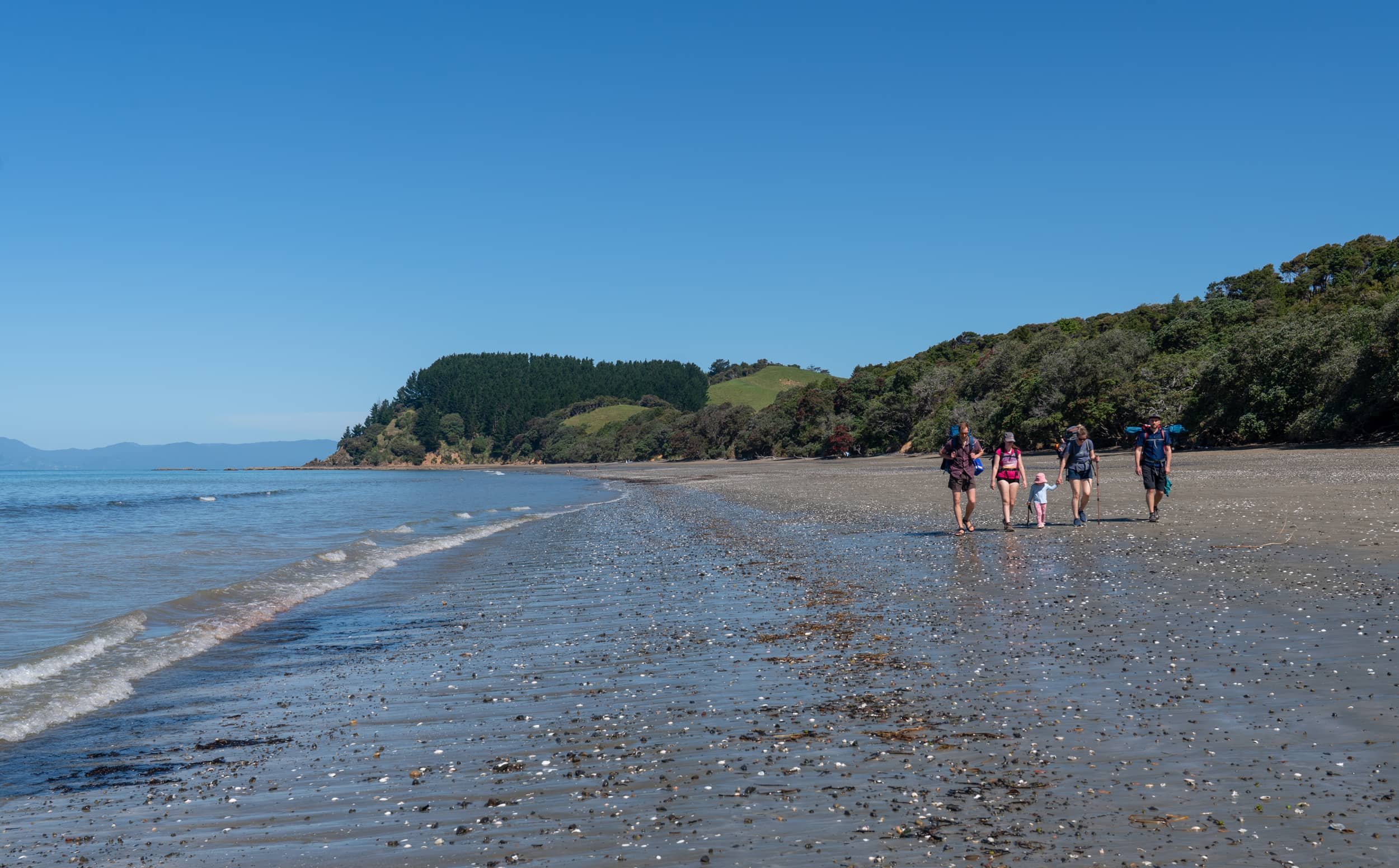 Tawhitokino - Summer_0047.jpg