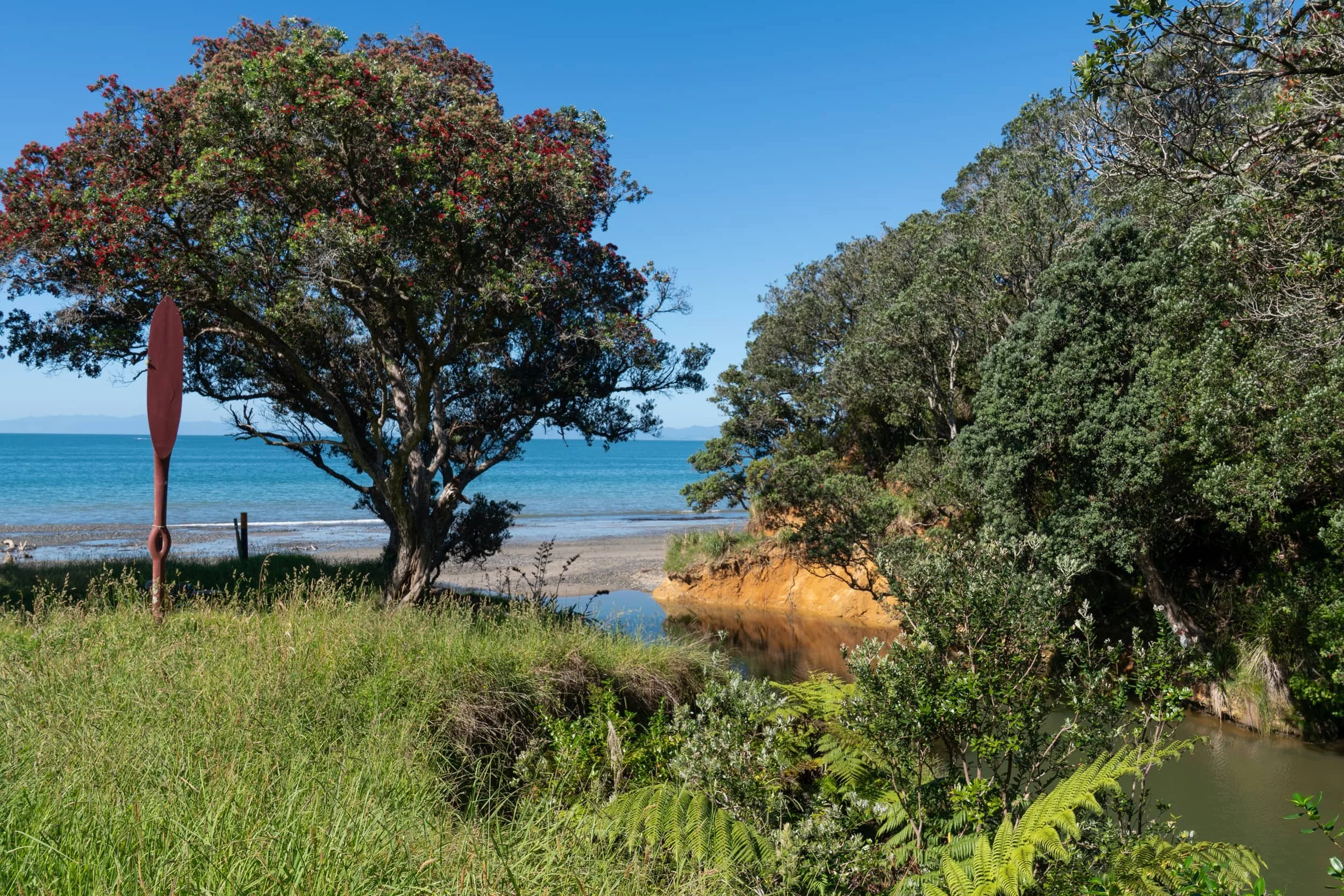 Tawhitokino - Summer_0078.jpg