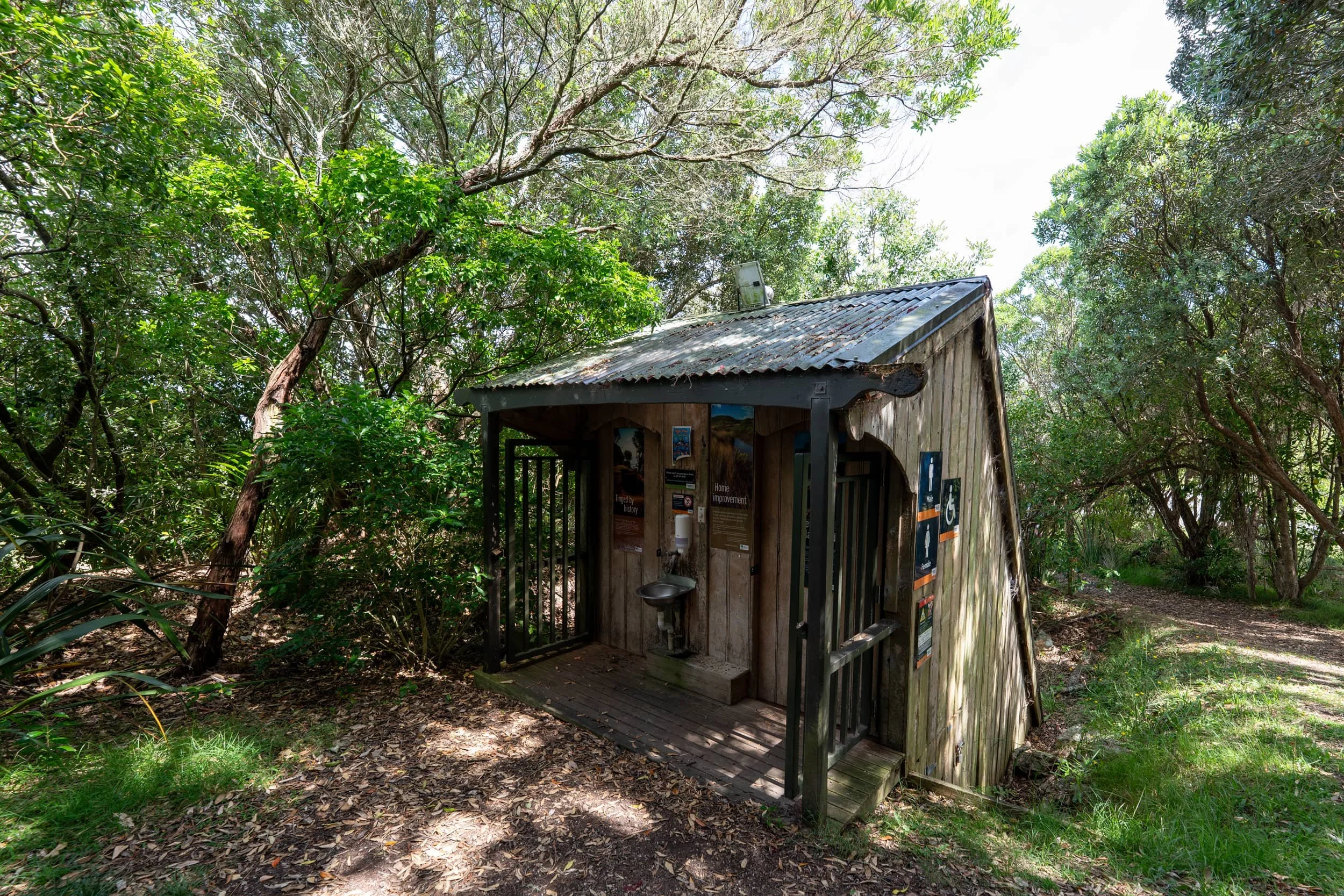 Waiheke-Summer_0030_web.jpg