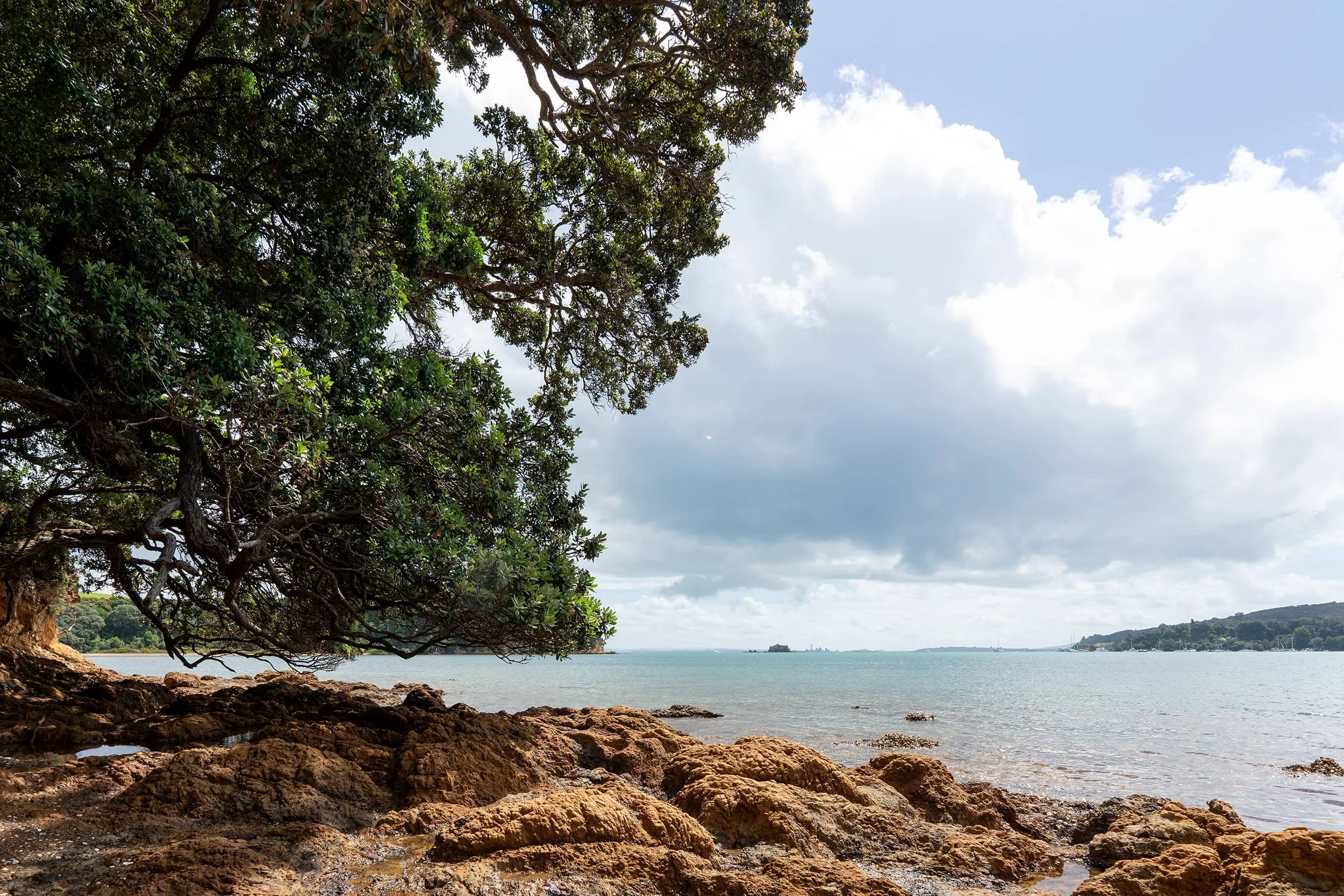 Waiheke-Summer_0180-WEB.jpg