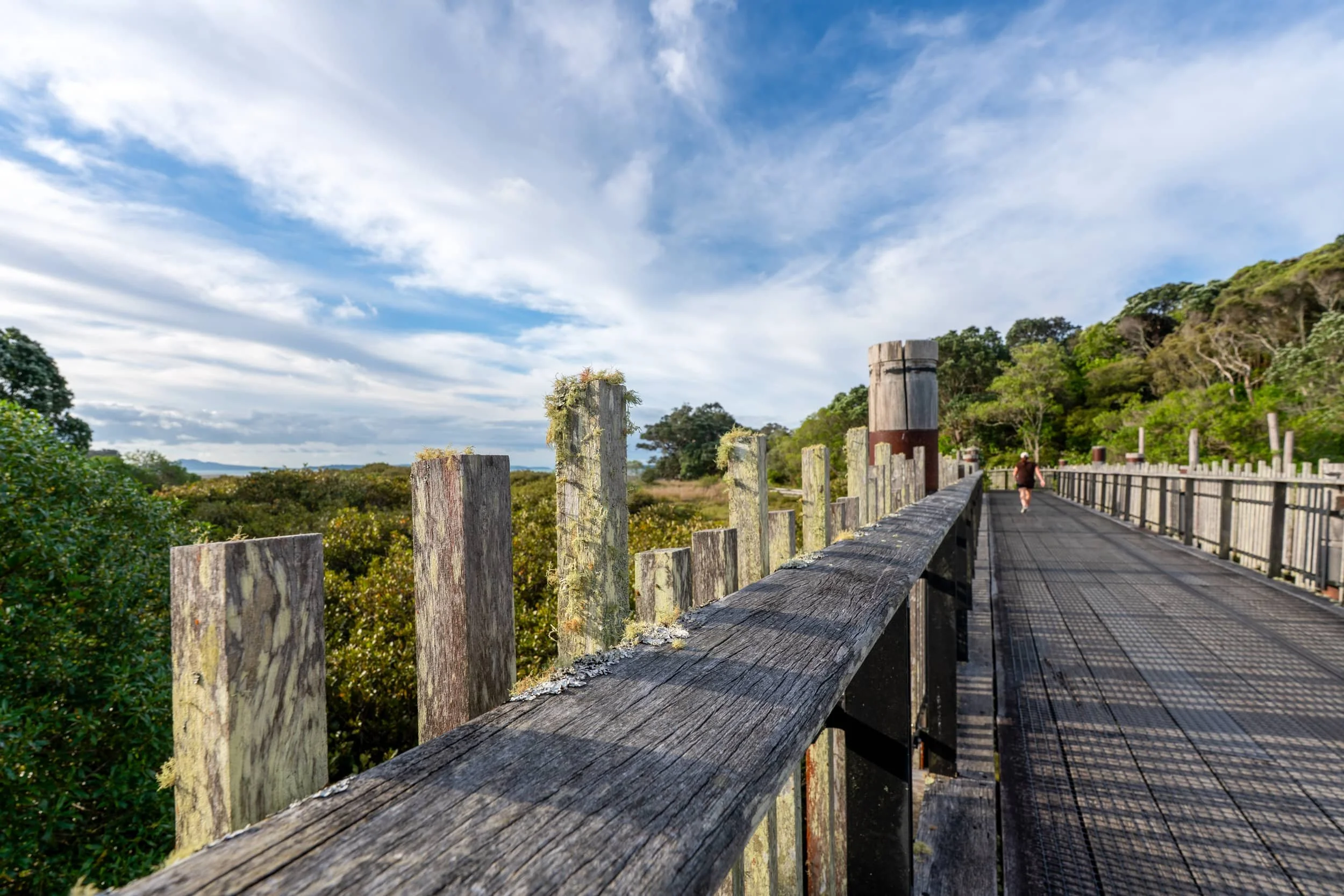 _Beachlands-Maraetai-Walkway-spring_0305.jpg