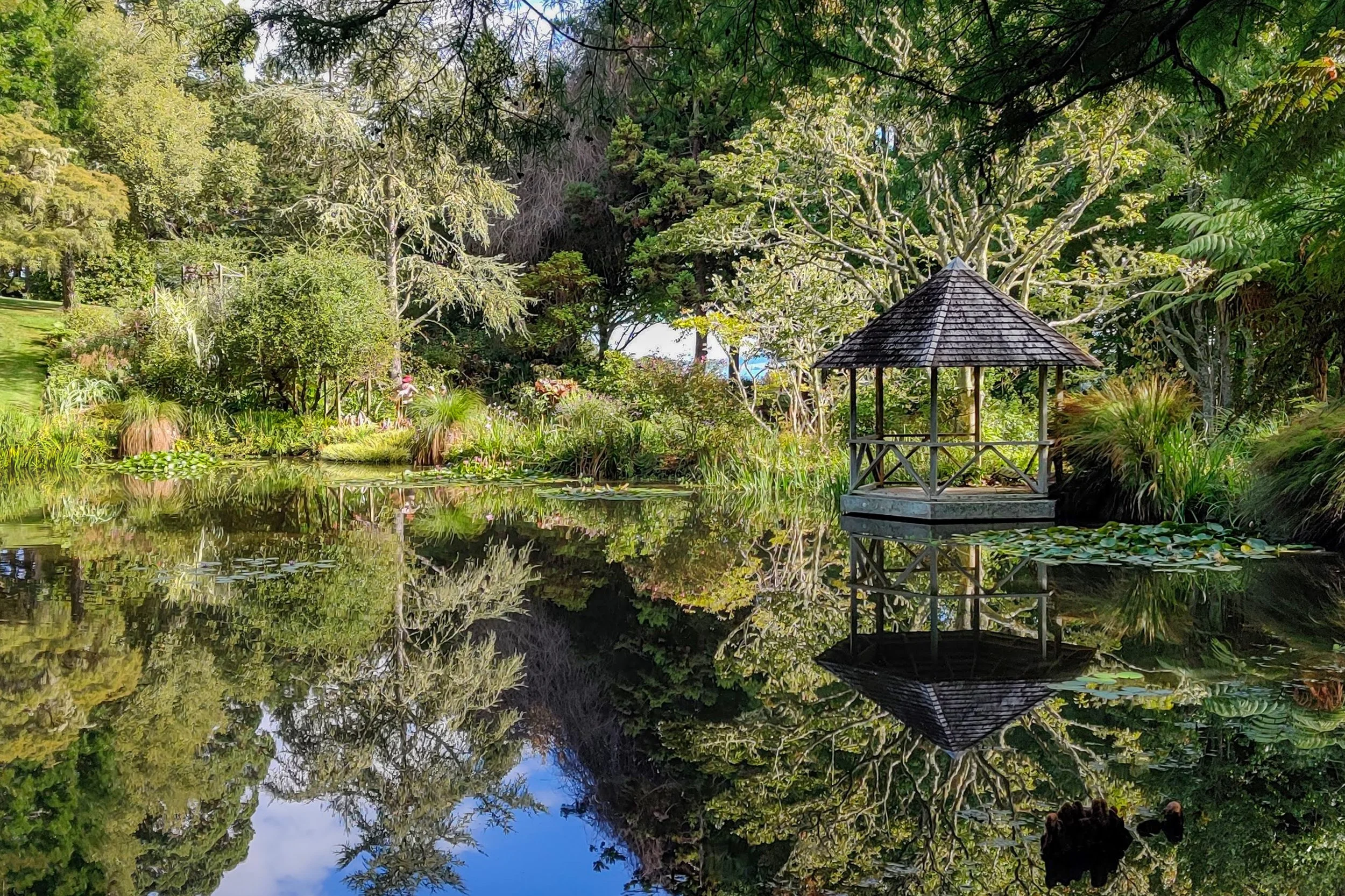 ayrlies-garden-1.jpg