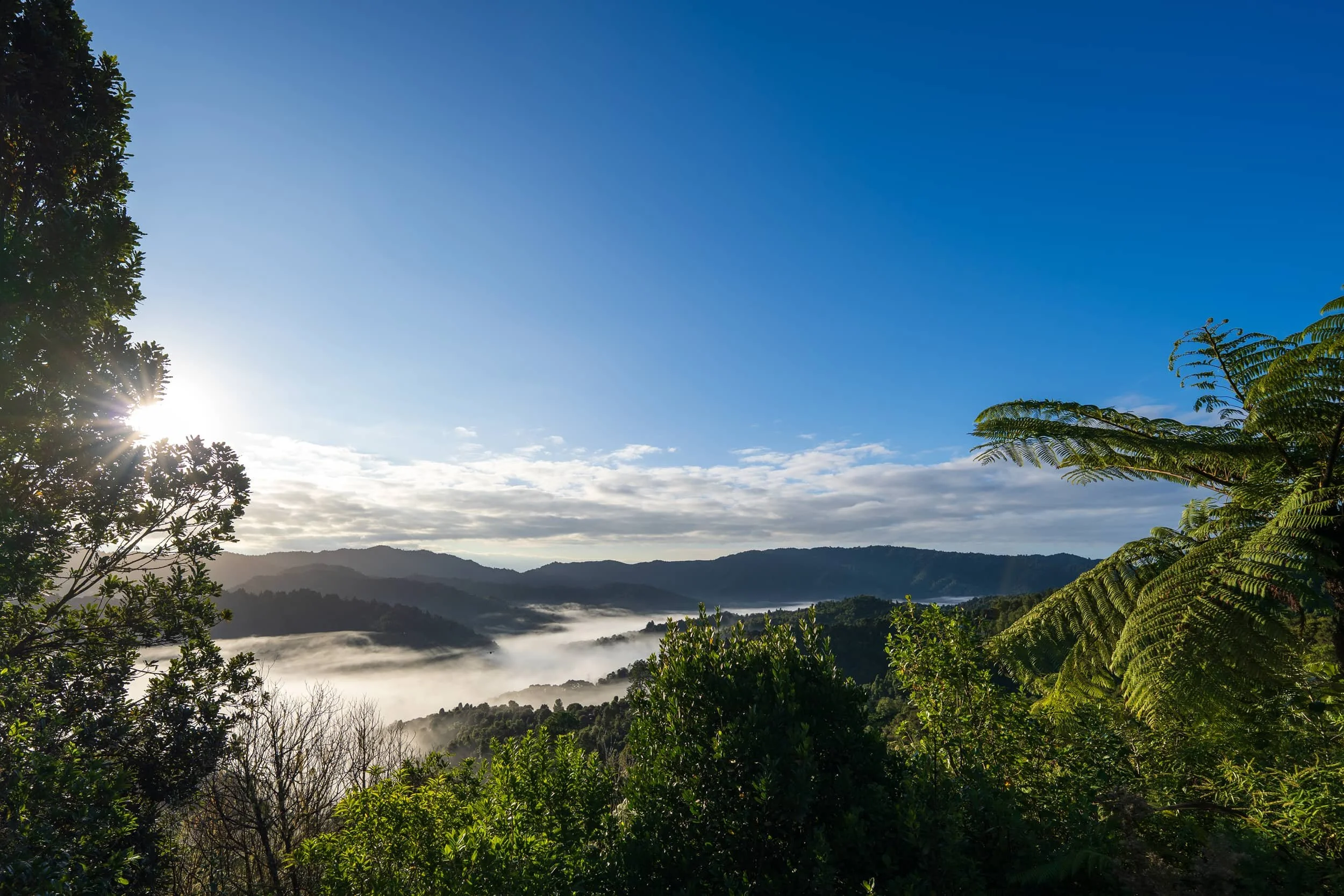 Hunua-Autumnn_0012-WEB.jpg