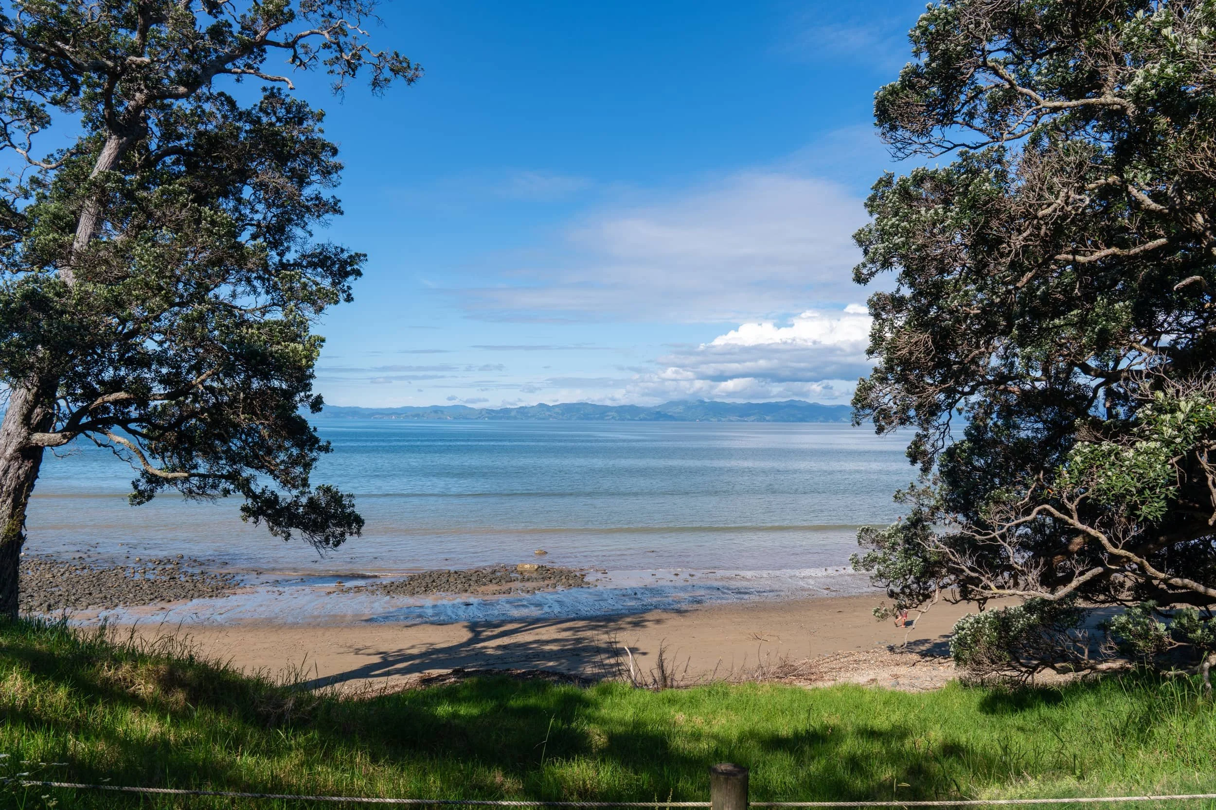 Tapapakanga-Spring-_0138_web.jpg