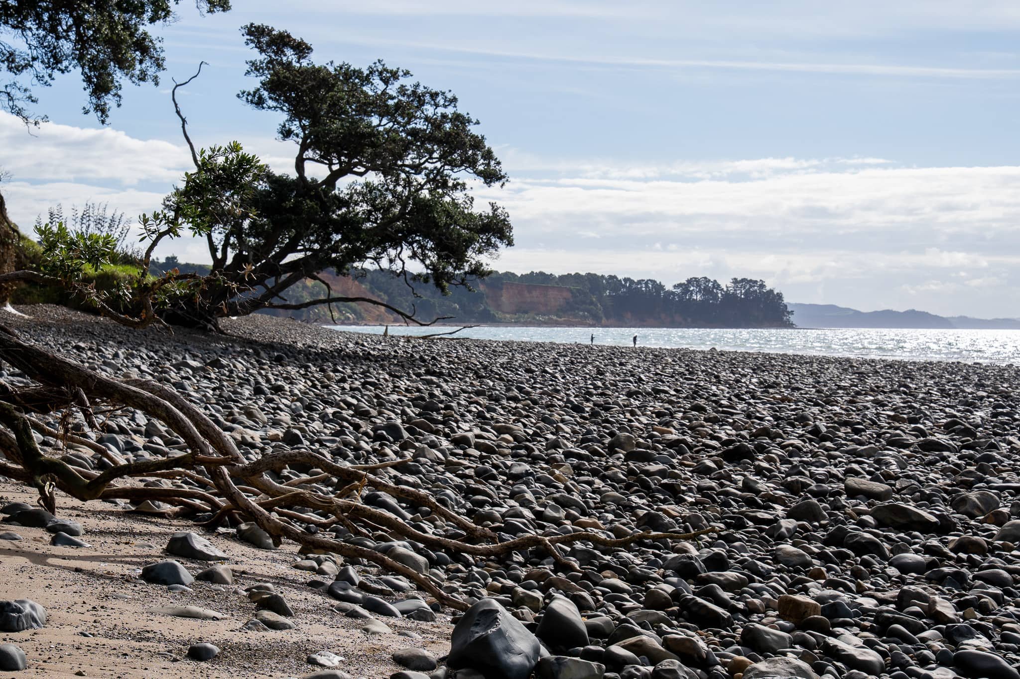 Tapakakanga_Autumn_017_WEB.jpg