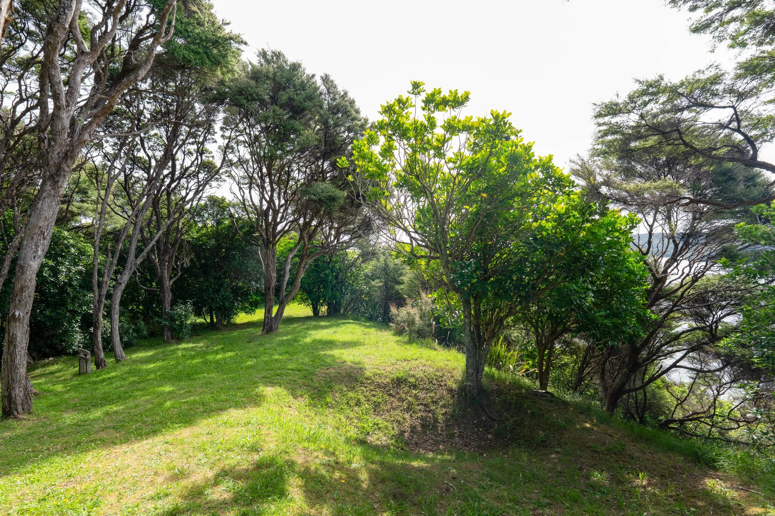 Waiheke-Spring_0037_WEB.jpg
