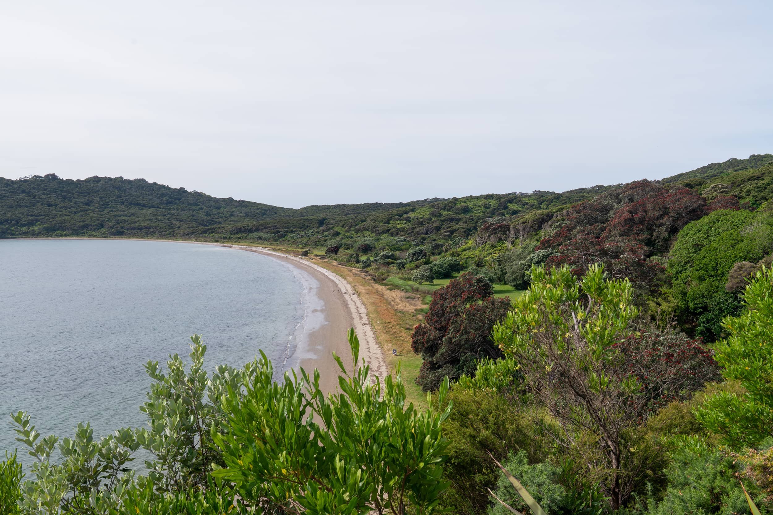 Waiheke-Spring_0045_WEB.jpg