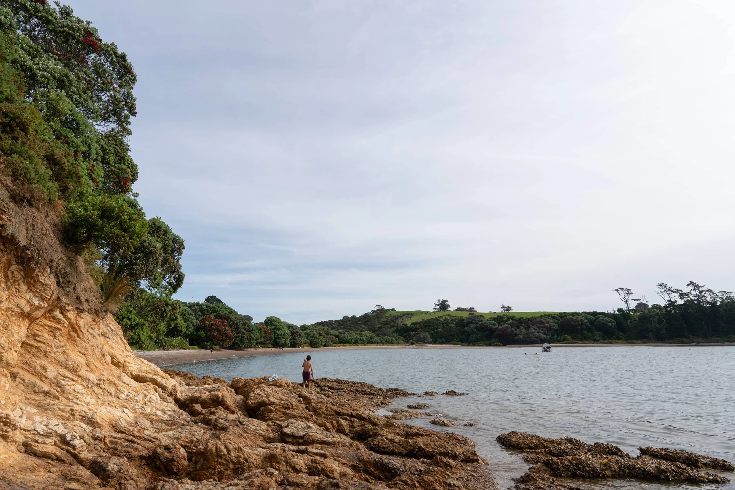 Waiheke-Spring_0072_WEB.jpg