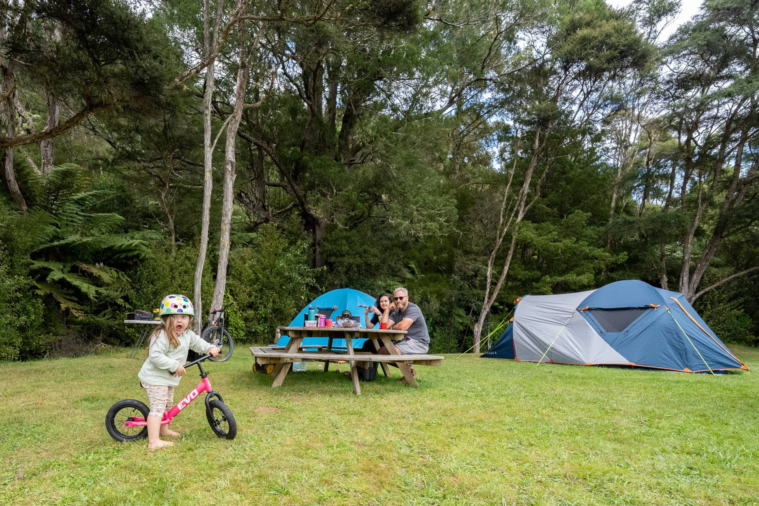 Hunua_Autumnn_0125_WEB.jpg